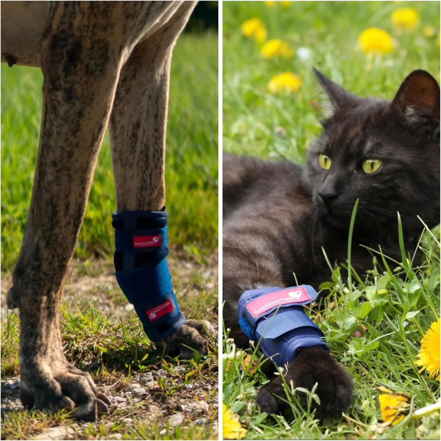 زانوبند فوم مفصل مچ دست سایز XL برای سگ و گربه با آتل برای تثبیت نفوذ و کمک به آسیب های حاد مفصل مچ دست زانوبند فوم مفصل مچ دست سایز XL برای سگ و گربه با آتل برای تثبیت نفوذ و کمک به آسیب های حاد مفصل مچ دست