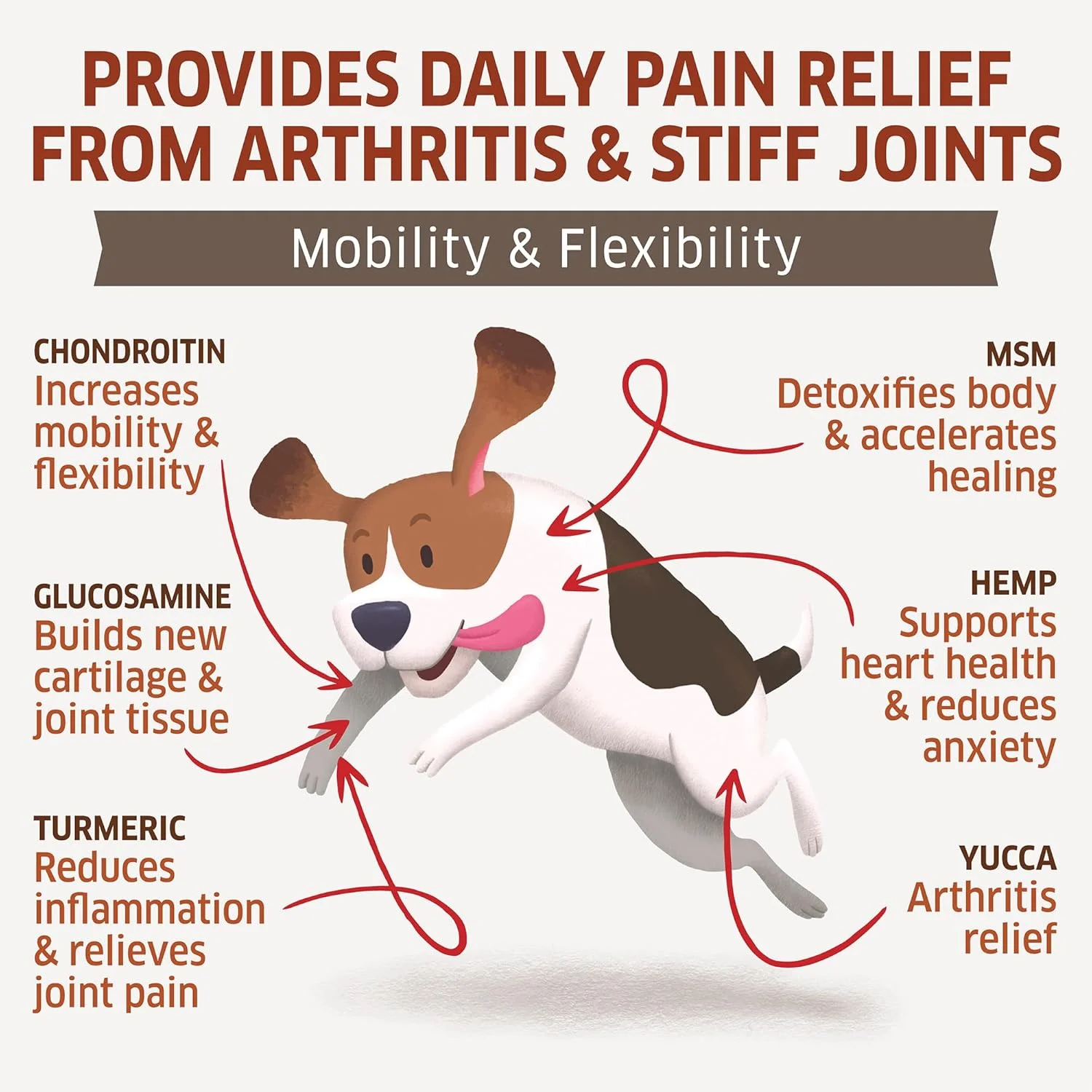 مکمل مفاصل و لگن سگ با شاهدانه - گلوکزامین برای سگ ها - گلوکزامین کندرویتین برای سگ ها با MSM، شاهدانه، زردچوبه و امگا 3 - تسکین درد - 120 عدد جویدنی نرم - ساخت ایالات متحده آمریکا مکمل مفاصل و لگن سگ با شاهدانه - گلوکزامین برای سگ ها - گلوکزامین کندرویتین برای سگ ها با MSM، شاهدانه، زردچوبه و امگا 3 - تسکین درد - 120 عدد جویدنی نرم - ساخت ایالات متحده آمریکا