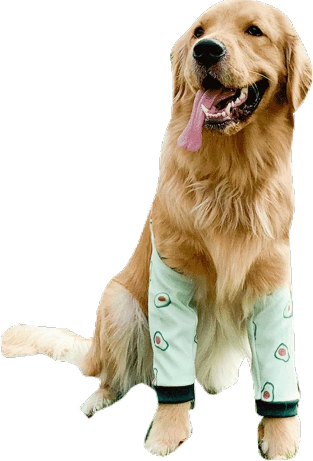 محافظ آرنج سگ، آستین های ضخیم شده آرنج با پد مشبک برای سگ های بزرگ متوسط فصل زمستان و پاییز جلوگیری از لیسیدن زخم (آووکادو، L) محافظ آرنج سگ، آستین های ضخیم شده آرنج با پد مشبک برای سگ های بزرگ متوسط فصل زمستان و پاییز جلوگیری از لیسیدن زخم (آووکادو، L)