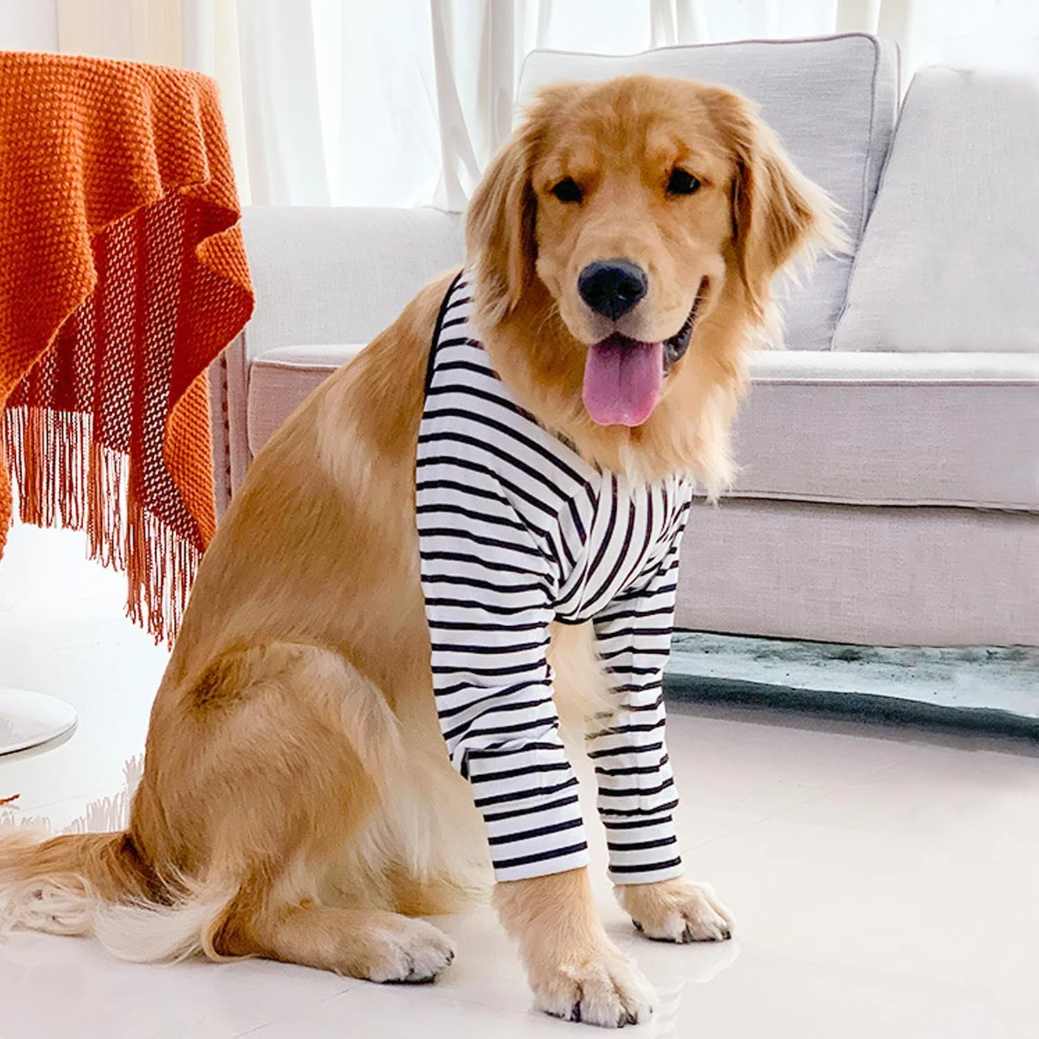 محافظ آرنج سگ، آستین بلند برای بهبودی مفاصل سگ، برای جلوگیری از لیسیدن زخم، آستین های بلند آرنج سگ با پد مشبک برای سگ های بزرگ متوسط (راه راه، L)