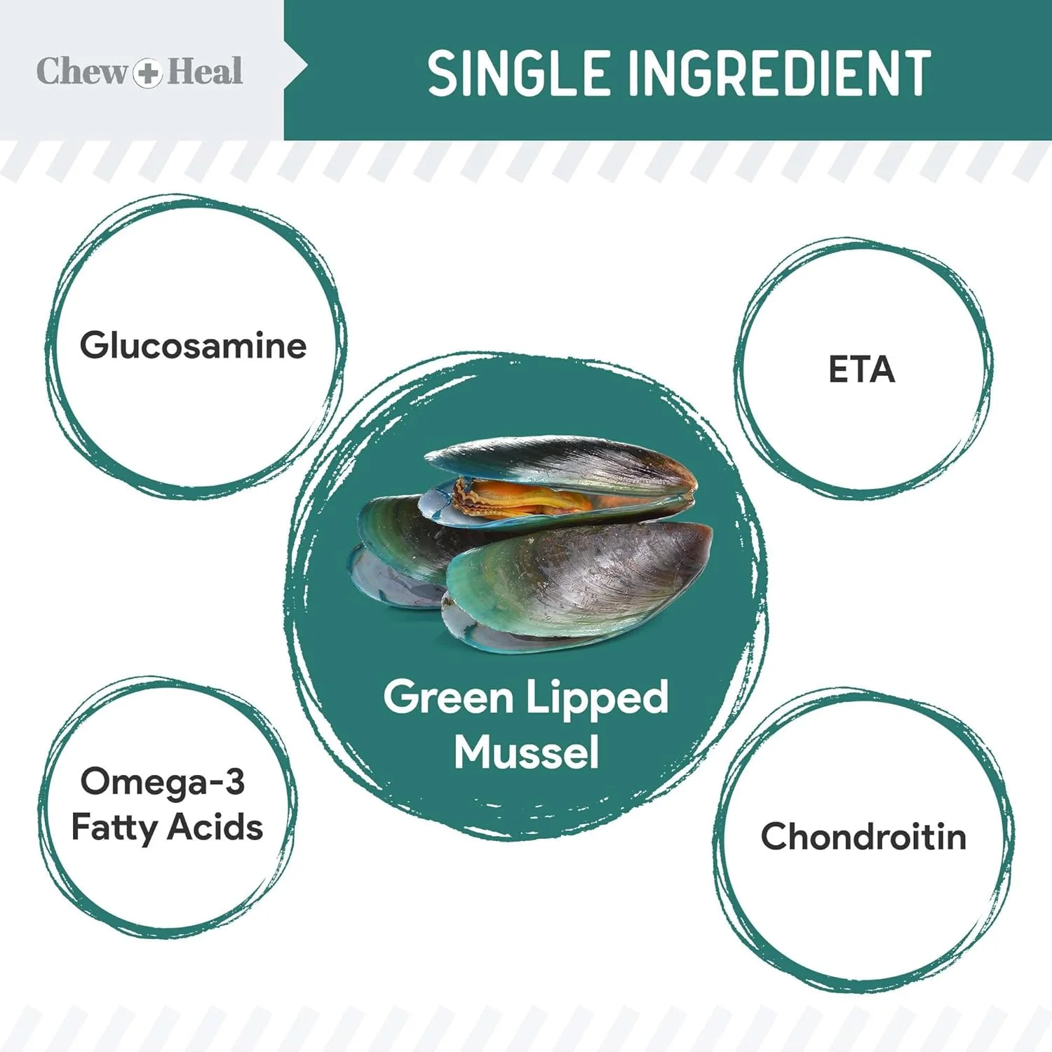 پودر صدف لب سبز برای سگ ها - 170 گرم پودر صدف لب سبز برای سگ ها - مناسب برای سلامت مفاصل و رباط ها - ساخت آمریکا پودر صدف لب سبز برای سگ ها - 170 گرم پودر صدف لب سبز برای سگ ها - مناسب برای سلامت مفاصل و رباط ها - ساخت آمریکا