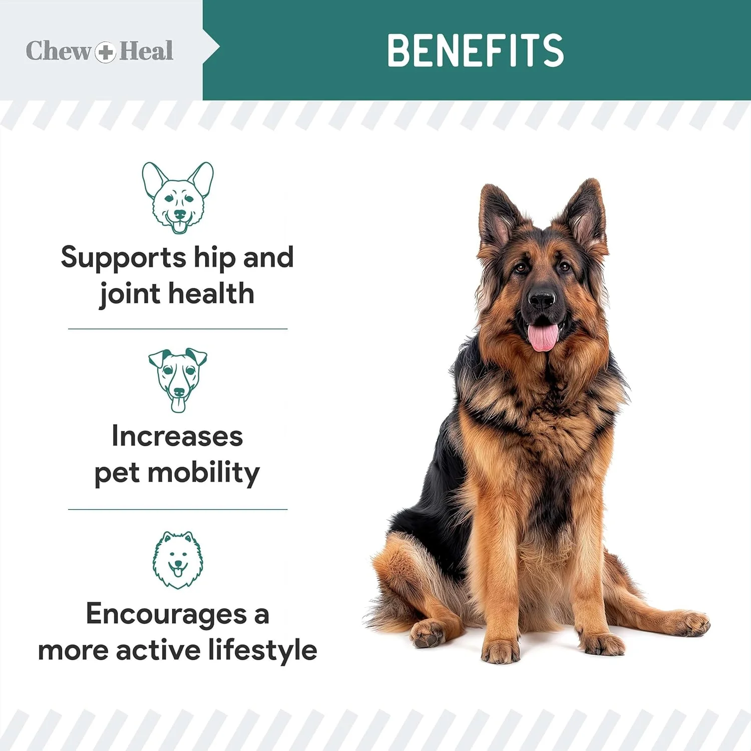 پودر صدف لب سبز برای سگ ها - 170 گرم پودر صدف لب سبز برای سگ ها - مناسب برای سلامت مفاصل و رباط ها - ساخت آمریکا پودر صدف لب سبز برای سگ ها - 170 گرم پودر صدف لب سبز برای سگ ها - مناسب برای سلامت مفاصل و رباط ها - ساخت آمریکا