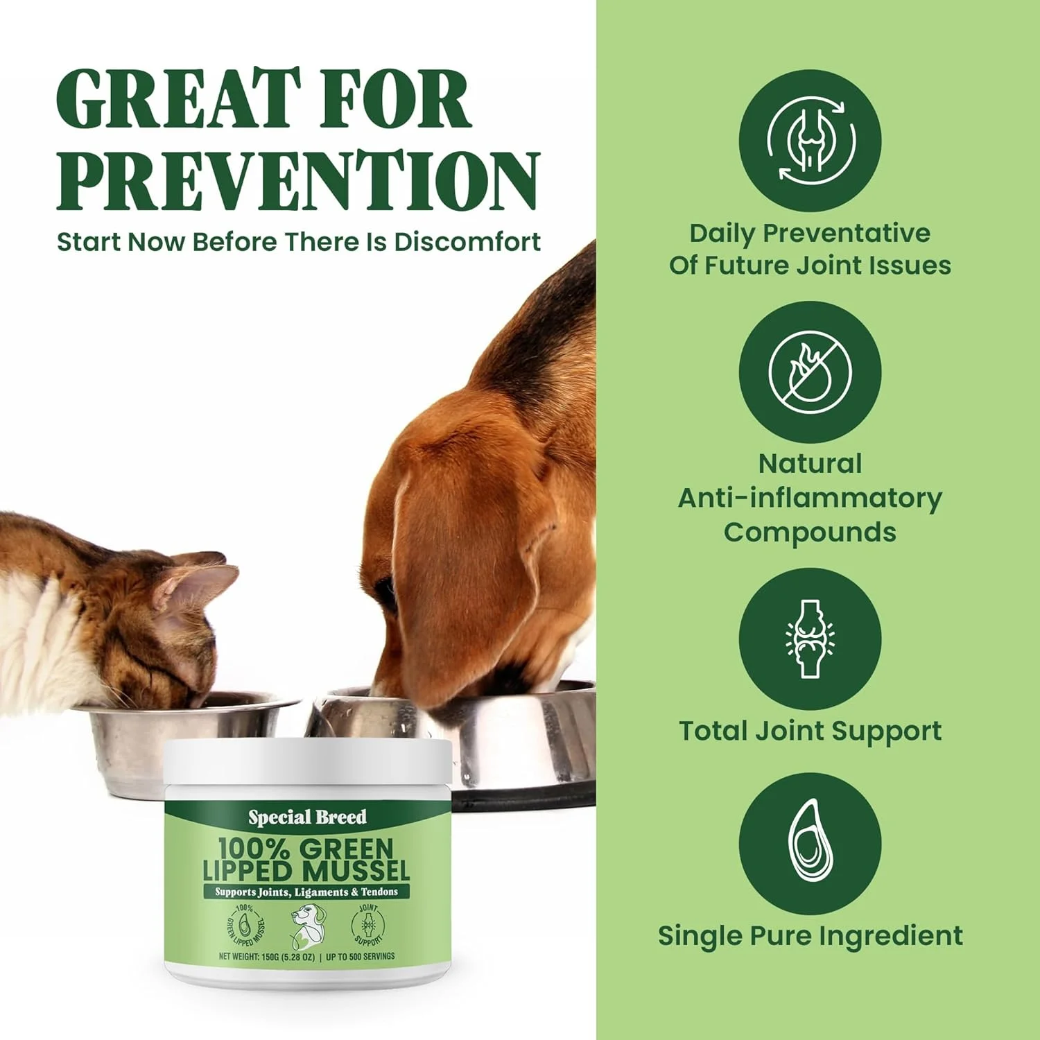 پودر صدف لب سبز برای سگ ها و گربه ها - 100% صدف های لب سبز نیوزلندی - مکمل طبیعی مفاصل برای مفاصل، تاندون ها، رباط ها، عضلات - 150 گرم - تا 500 وعده