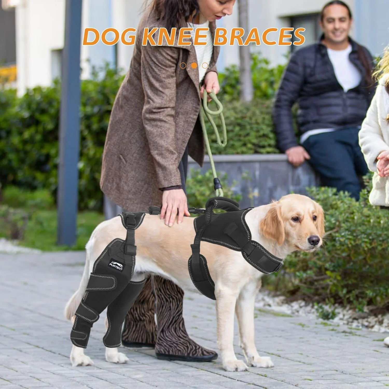 زانوبند سگ برای پای عقب - محافظت از مفاصل و ایجاد گرما، پای قابل تنظیم و لگن ارتقا یافته، ست هارنس دور پای عقب سگ برای مراقبت از زخم پا و جلوگیری از لیس زدن، سایز XXL