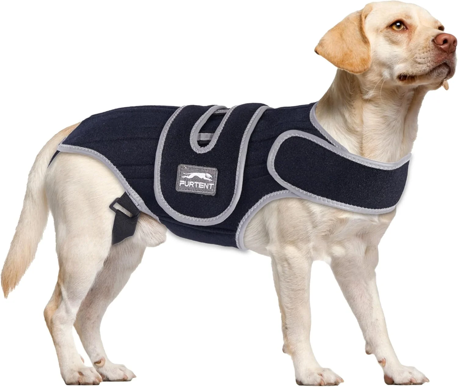 کمربند محافظ پشت سگ برای دیسک بین مهره ای و ناراحتی مفاصل، مهار حمایتی ستون فقرات حیوانات خانگی برای سگ داشهوند، بهبود جراحی و تسکین کمر