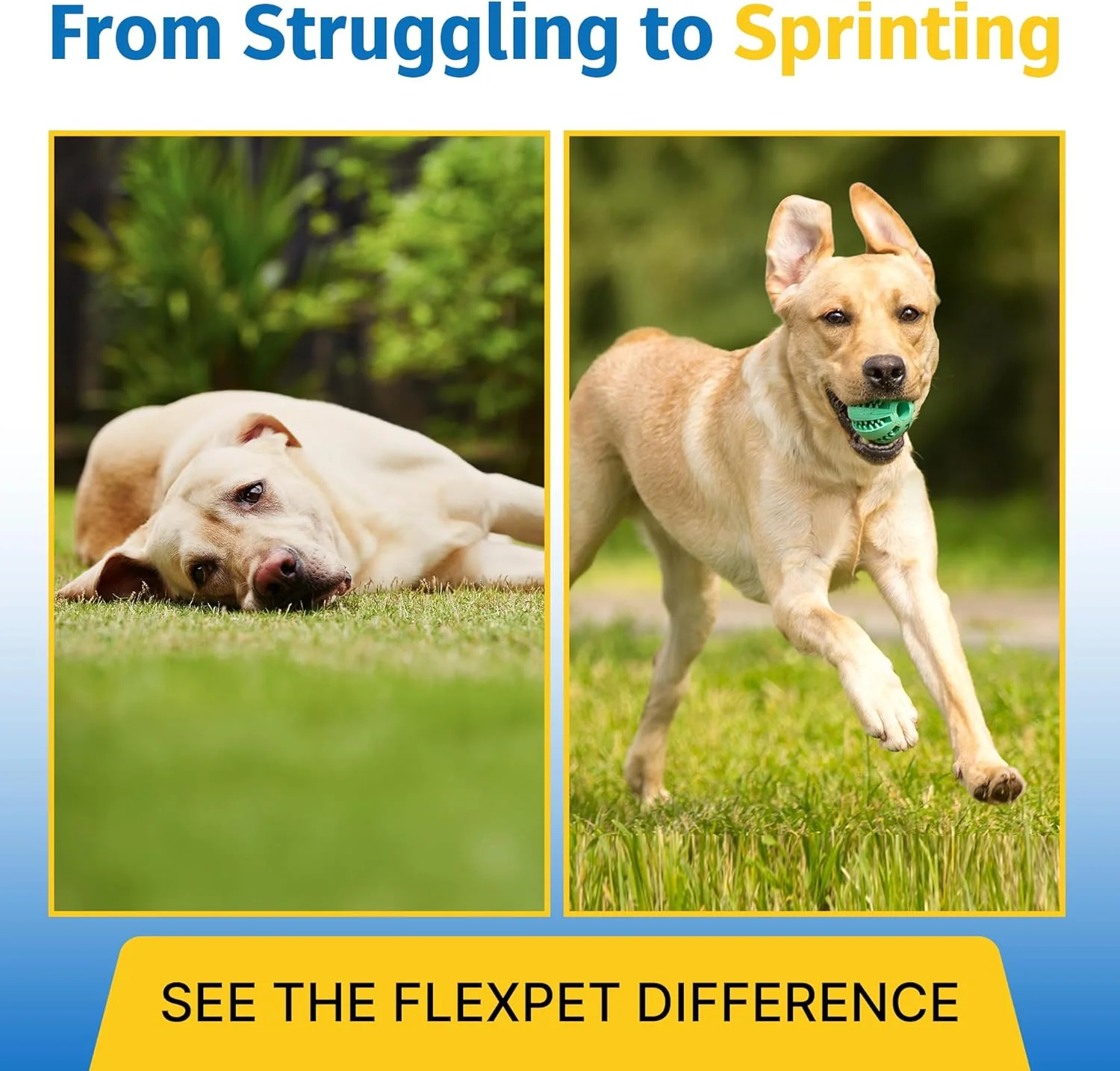 فلکس پت با CM8 (۱۸۰ قرص جویدنی)