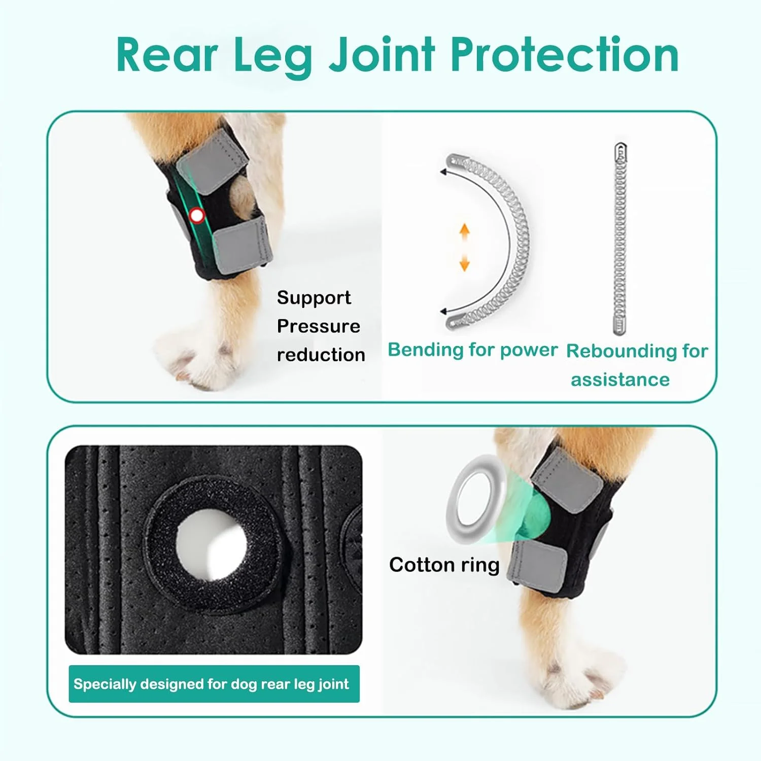 زانوبند سگ برای مچ پا و ساق پا، محافظ پا برای حمایت از مفاصل، آستین پا برای جلوگیری از آسیب و رگ به رگ شدن، M