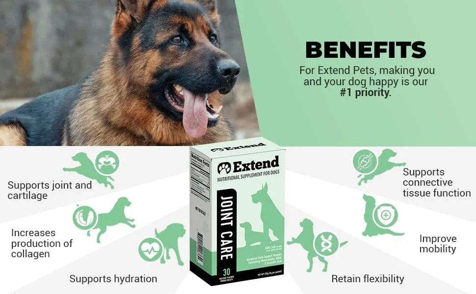 مراقبت از مفاصل و پروبیوتیک سگ ها - پیشنهاد ویژه ترکیبی!