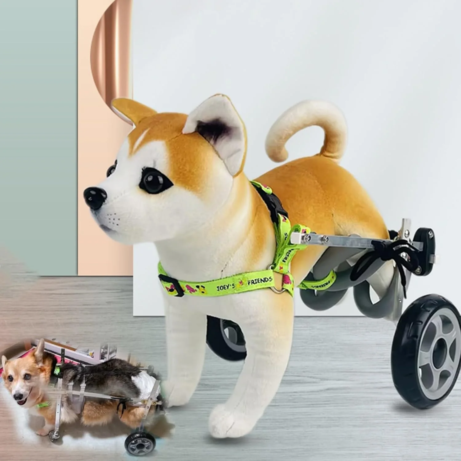 ویلچر سگ داشهوند برای پاهای عقب، کمک حرکتی 2 چرخ برای فعالیت سگ، پشتیبانی از لگن، بریس پای سگ قابل تنظیم، وزن سبک (سایز S)