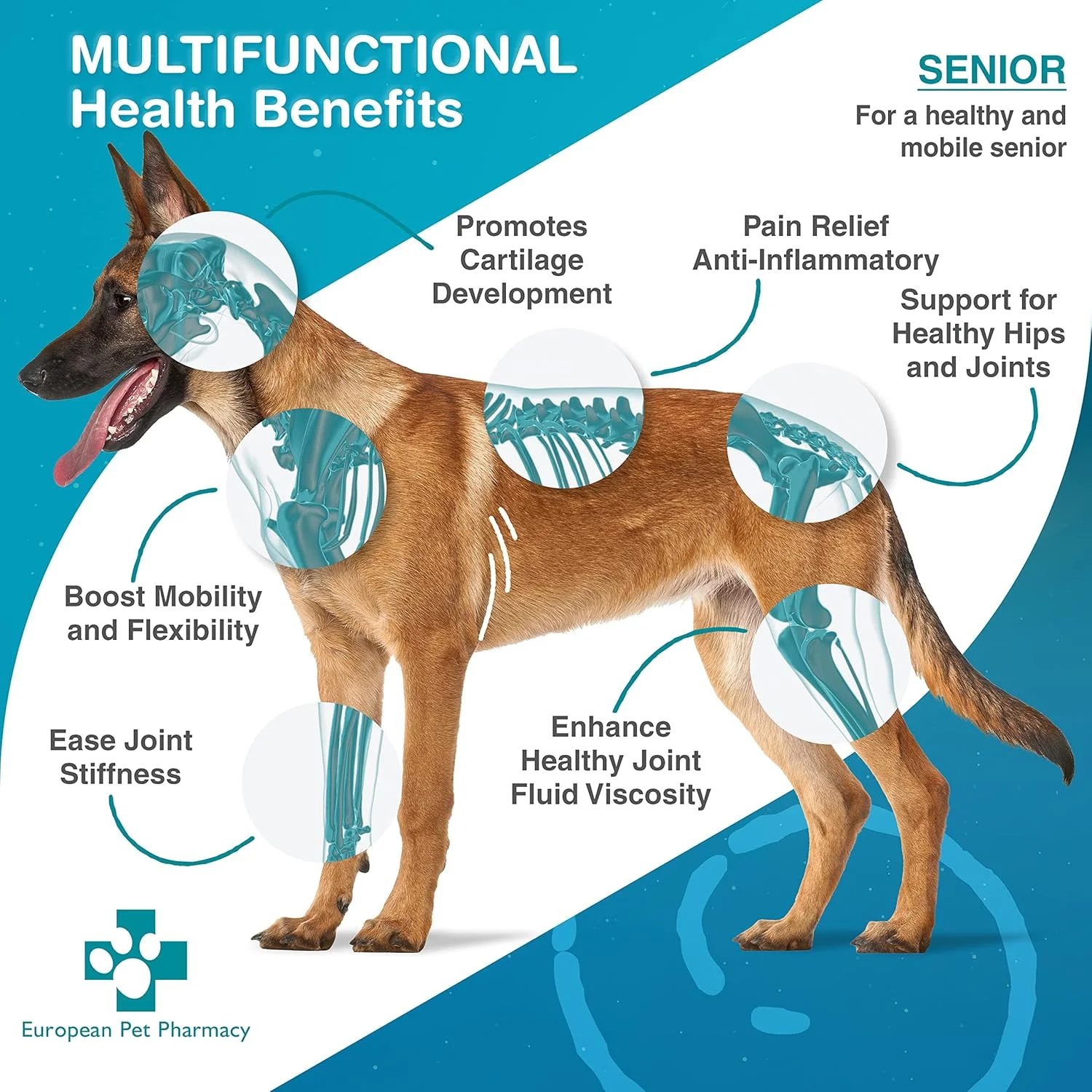 مکمل مفاصل Joint Max+ داروخانه حیوانات خانگی اروپا برای سگ ها - مکمل های سگ برای مفاصل با صدف های سبز برای بهبود تحرک، تمام سنین، پودر 140 گرمی