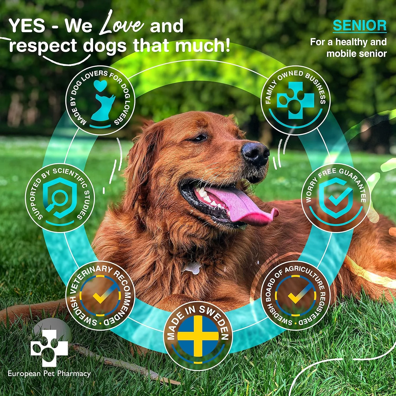 مکمل مفاصل Joint Max+ داروخانه حیوانات خانگی اروپا برای سگ ها - مکمل های سگ برای مفاصل با صدف های سبز برای بهبود تحرک، تمام سنین، پودر 140 گرمی