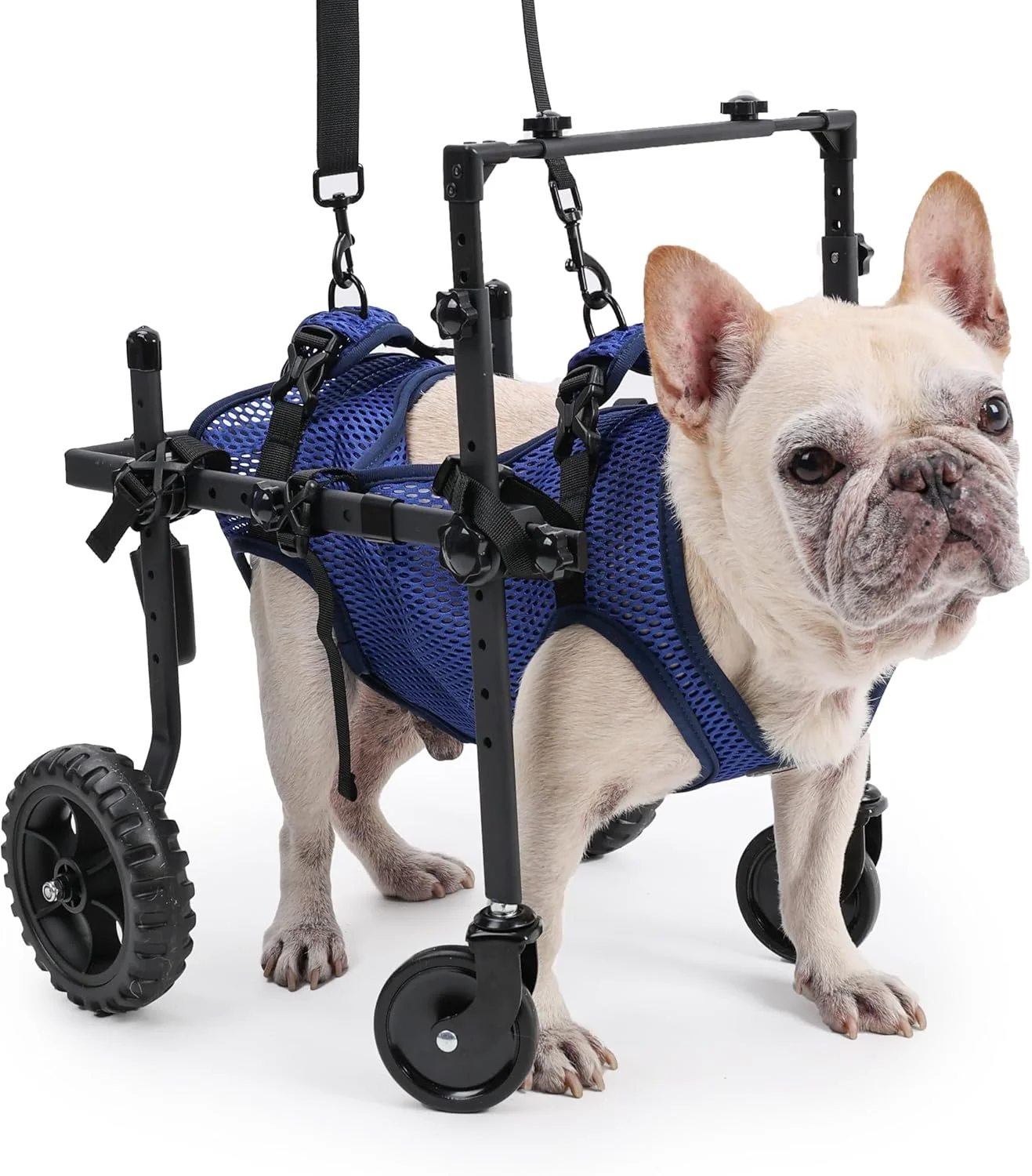 ویلچر 4 چرخ سگ برای سگ های معلول و مسن، وسایل کمک حرکتی قابل تنظیم حیوانات خانگی با دسته، چرخ دستی ویلچر برای توانبخشی پاها (XS)