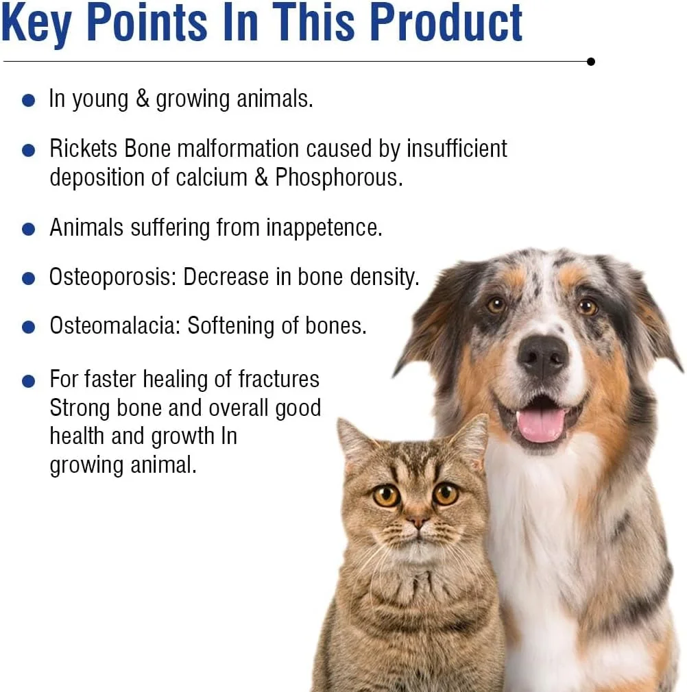 قرص کلسی نکس 70 عددی - مکمل پیشرفته کلسیم برای حیوانات خانگی | استخوان های قوی، دندان های سالم و پشتیبانی از مفاصل | با ویتامین D3 و مواد معدنی ضروری | ایده آل برای سگ ها و گربه ها