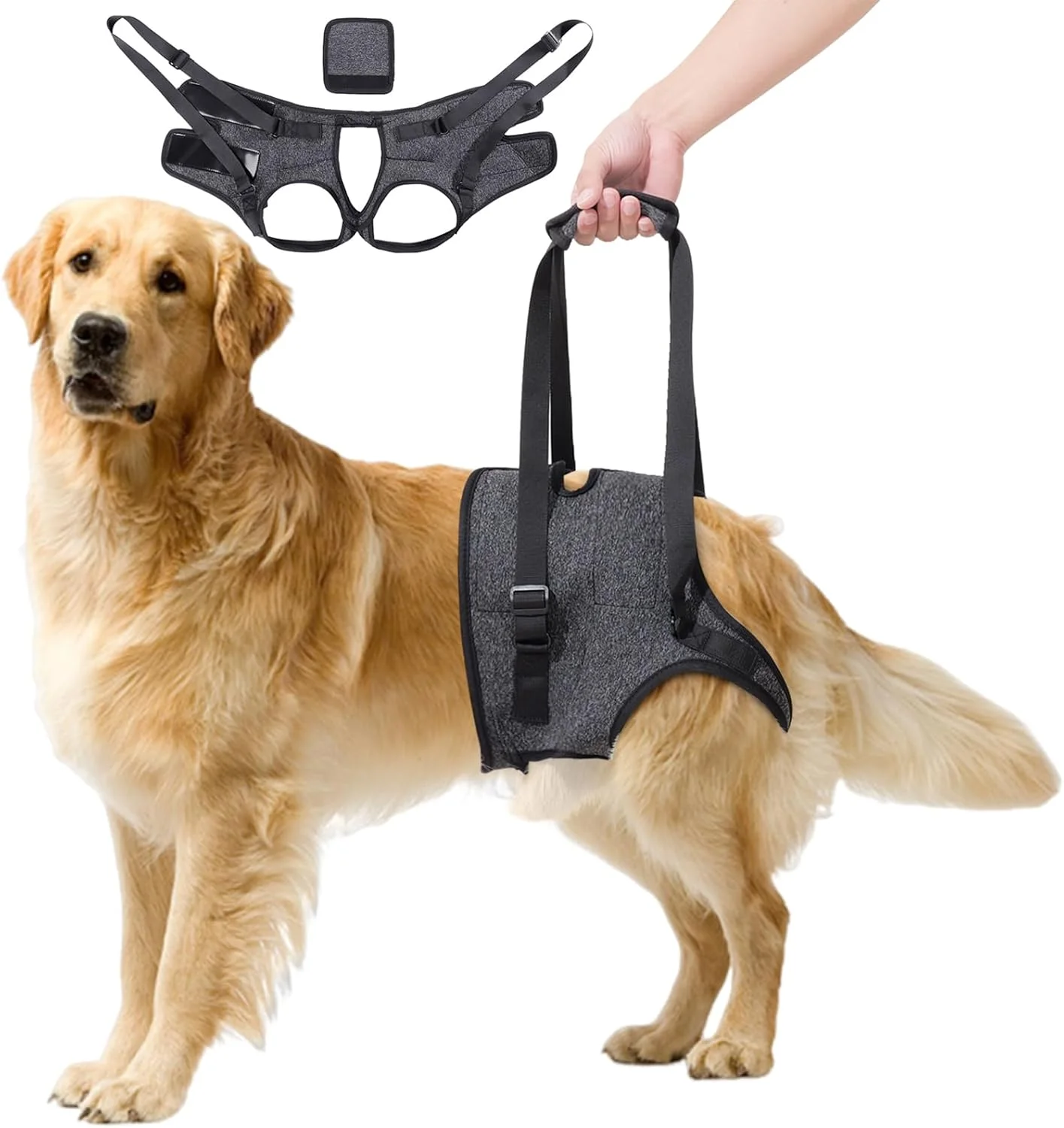 هارنس بالابر سگ، اسلینگ هارنس پشتیبانی سگ برای پاهای عقب، بند پشتیبانی کمکی قابل تنظیم برای سگ های آسیب دیده، معلول و مسن (M)