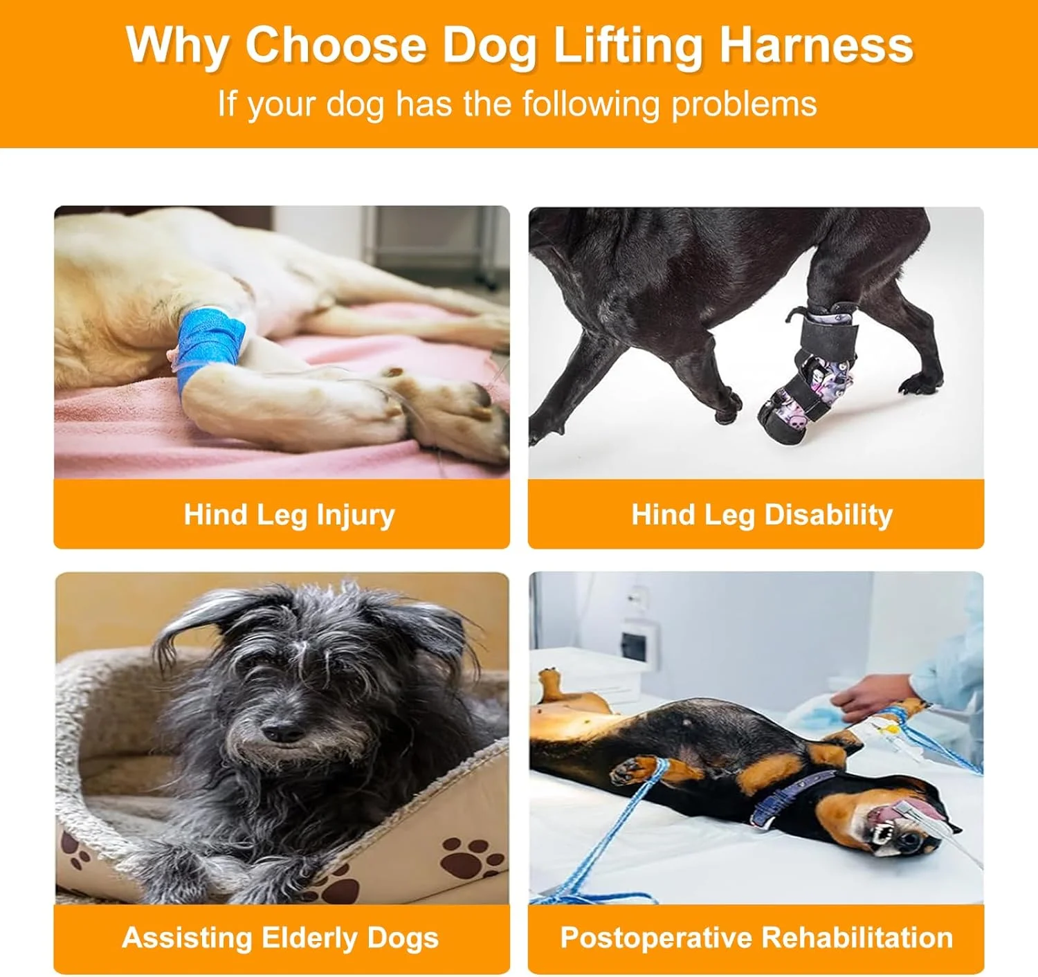هارنس بالابر سگ، اسلینگ هارنس پشتیبانی سگ برای پاهای عقب، بند پشتیبانی کمکی قابل تنظیم برای سگ های آسیب دیده، معلول و مسن (M)