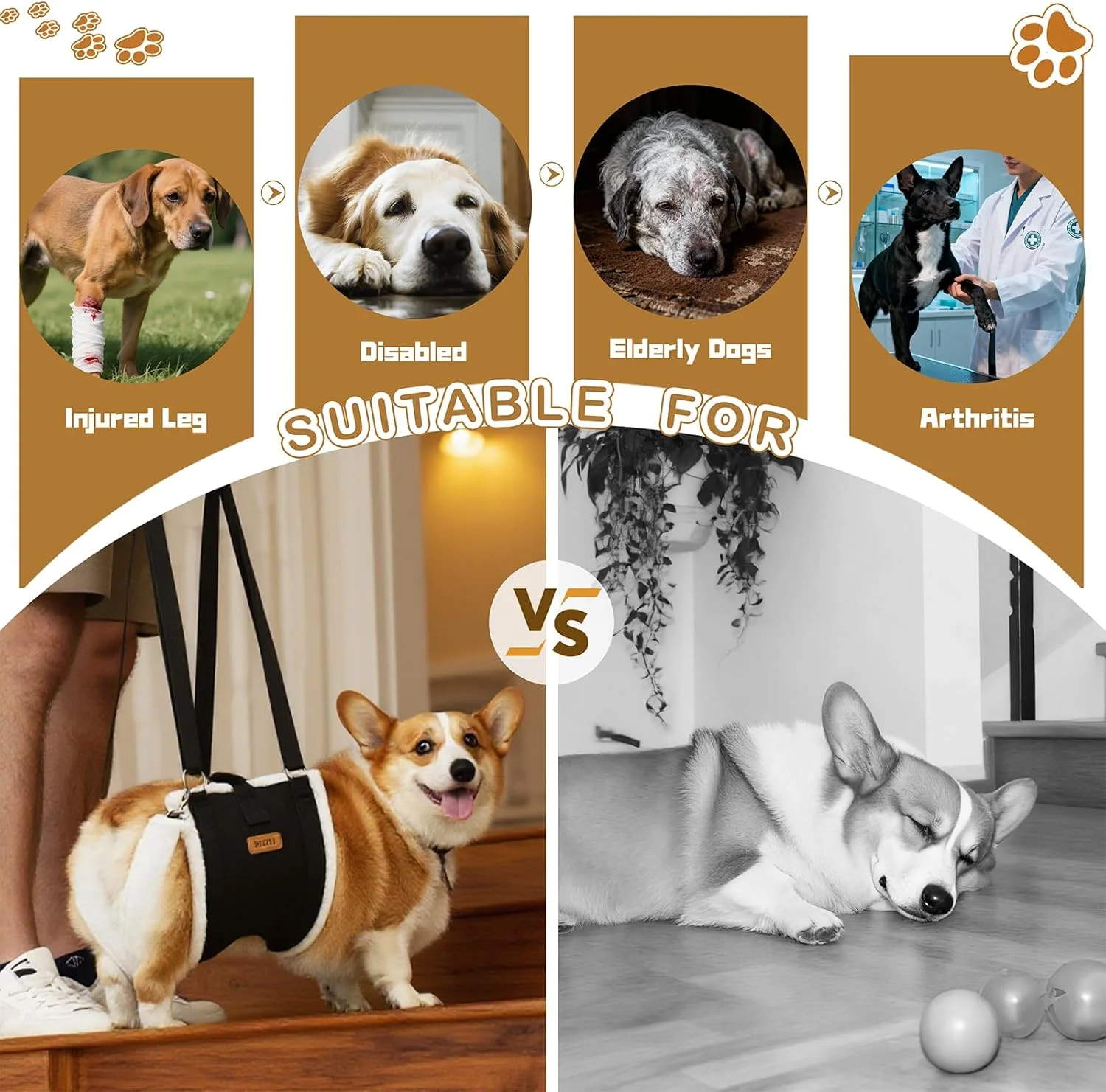 اسلینگ هارنس بالابر سگ برای سگ های بزرگ - پشتیبانی قابل تنظیم از پای عقب با پد و سگک ثابت پشتی ضد لغزش، کمک به ریکاوری بعد از عمل جراحی، هارنس سگ برای سگ های آسیب دیده، معلول/سالمند اسلینگ هارنس بالابر سگ برای سگ های بزرگ - پشتیبانی قابل تنظیم از پای عقب با پد و سگک ثابت پشتی ضد لغزش، کمک به ریکاوری بعد از عمل جراحی، هارنس سگ برای سگ های آسیب دیده، معلول/سالمند