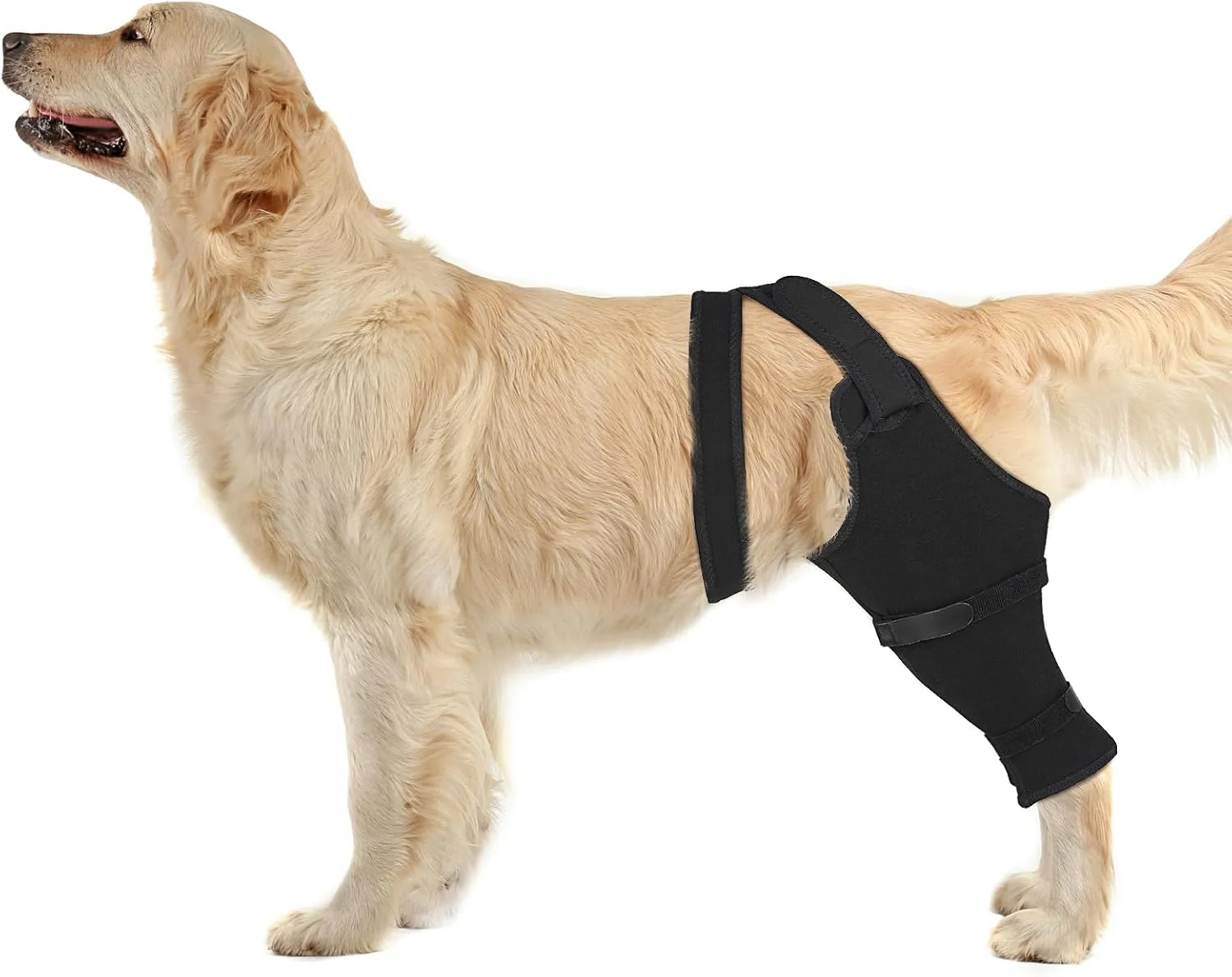 آستین محافظ پای عقبی سگ برای جلوگیری از لیسیدن، پوشش جراحی زخم بعد از عمل رباط صلیبی، محافظ پا برای باسن، ران، زانو، جایگزین قلاده مخروطی سگ (پای چپ، 2XL) آستین محافظ پای عقبی سگ برای جلوگیری از لیسیدن، پوشش جراحی زخم بعد از عمل رباط صلیبی، محافظ پا برای باسن، ران، زانو، جایگزین قلاده مخروطی سگ (پای چپ، 2XL)