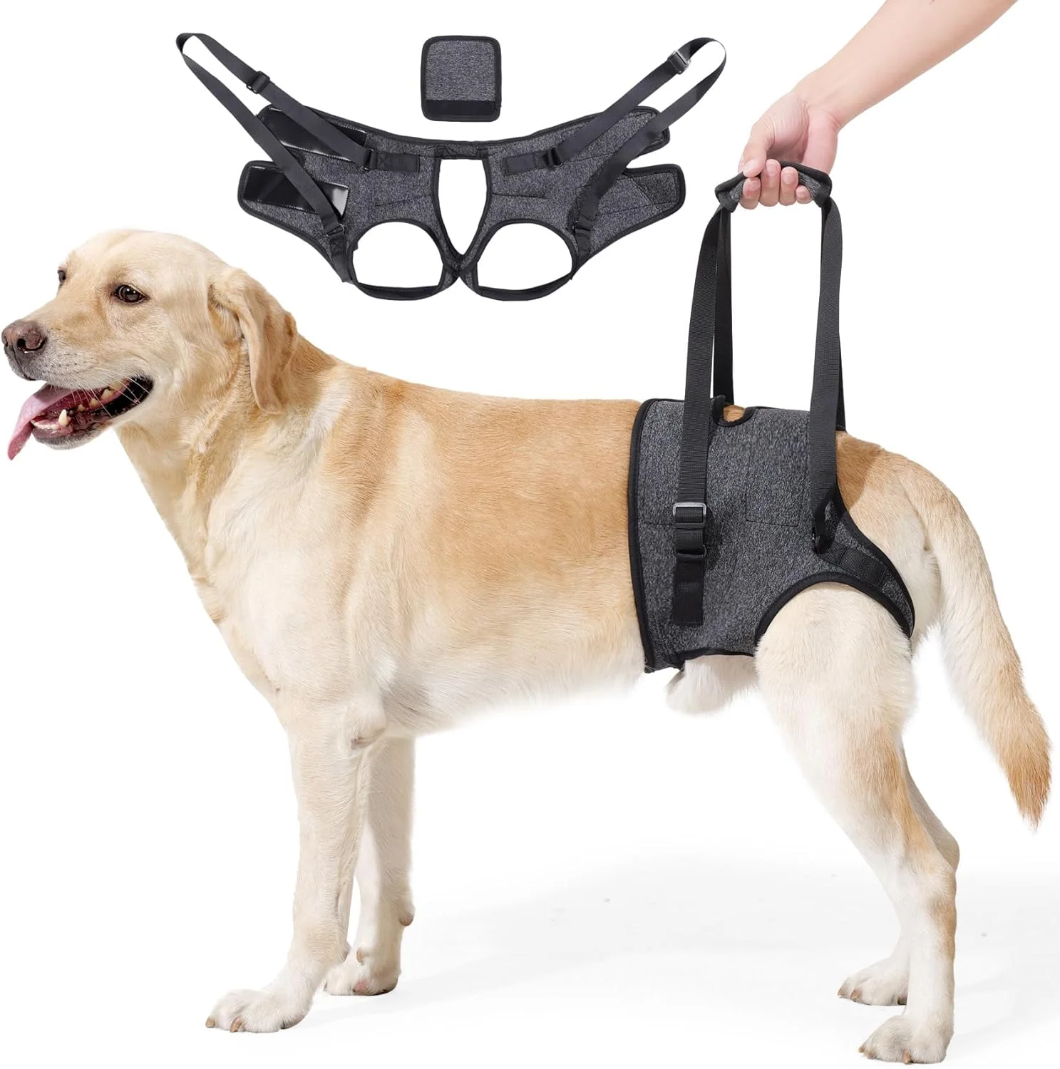 هارنس کمکی سگ | هارنس کمک حرکتی برای سگ های بزرگ، اسلینگ قابل تنظیم برای حمایت از پاهای عقبی سگ های مسن، آسیب دیده، دارای آرتروز و ناتوان، کمک حرکتی و توانبخشی (XL) هارنس کمکی سگ | هارنس کمک حرکتی برای سگ های بزرگ، اسلینگ قابل تنظیم برای حمایت از پاهای عقبی سگ های مسن، آسیب دیده، دارای آرتروز و ناتوان، کمک حرکتی و توانبخشی (XL)