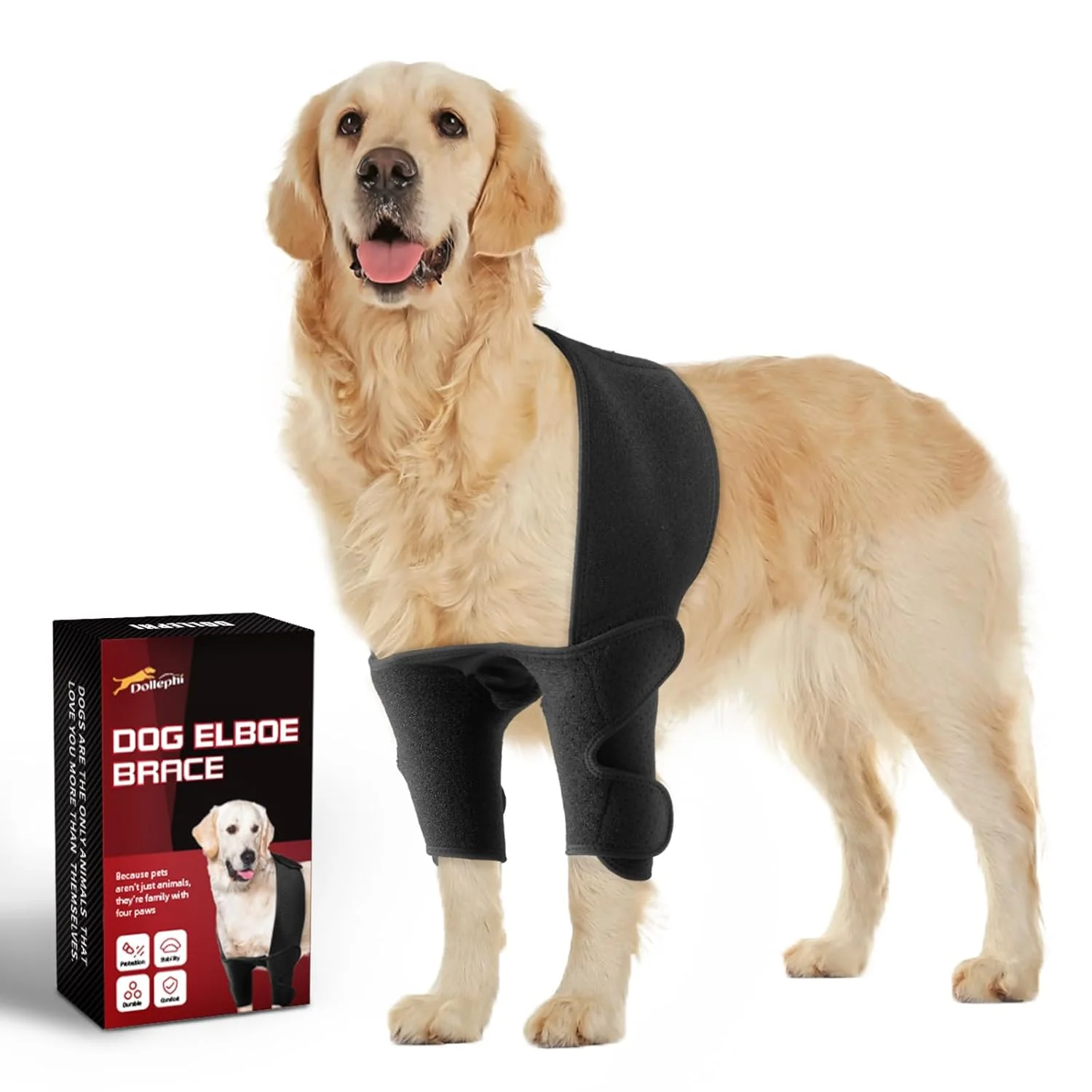 زانوبند آرنج سگ برای شانه و پای جلویی، کمپرس گرم/سرد برای آرتروز، دیسپلازی، هیگروما، پینه، کمک به بهبود زخم، جلوگیری از لیسیدن و گاز گرفتن (XXL) زانوبند آرنج سگ برای شانه و پای جلویی، کمپرس گرم/سرد برای آرتروز، دیسپلازی، هیگروما، پینه، کمک به بهبود زخم، جلوگیری از لیسیدن و گاز گرفتن (XXL)