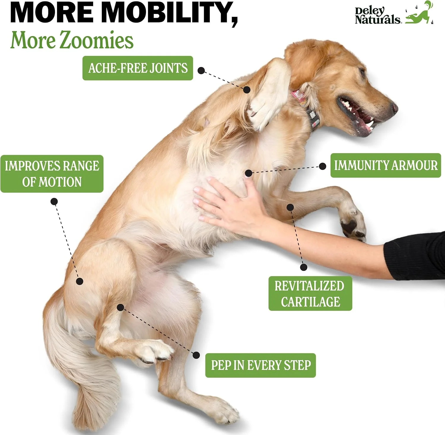 دلی نچرالز، تسکین پیشرفته درد مفاصل برای سگ ها. بهترین گلوکزامین برای سگ ها با کندرویتین، MSM و زردچوبه ارگانیک. مکمل 100% طبیعی مفصل ران و مفصل برای سگ ها. 120 عدد جویدنی نرم با طعم مرغ