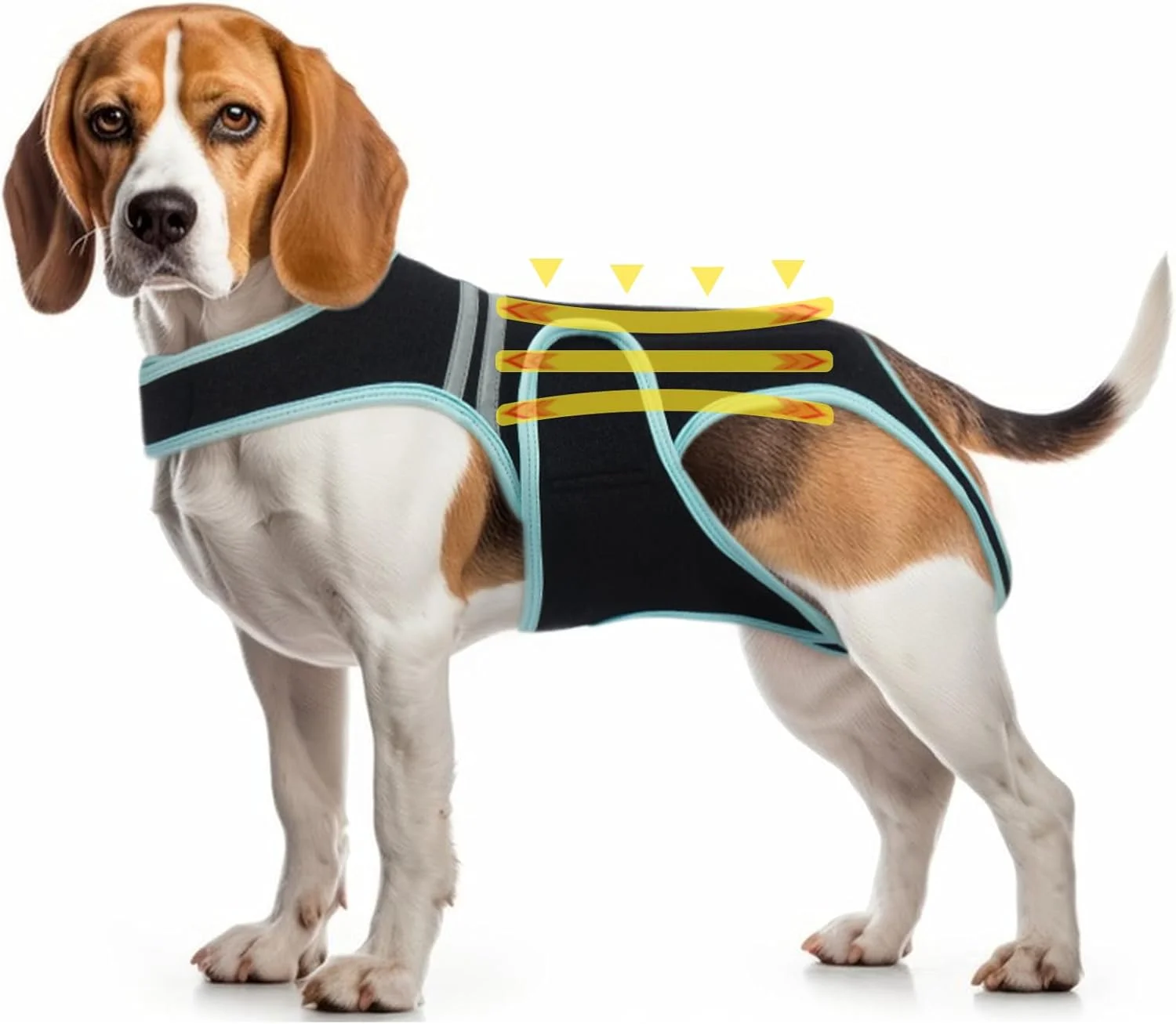 کمربند محافظ پشت سگ برای دیسک لغزیده، پشتیبانی از آرتروز سگ، پشتیبانی از ستون فقرات با سوراخ قلاده، کمربند محافظ پشت برای آسیب نخاعی سگ (XL)