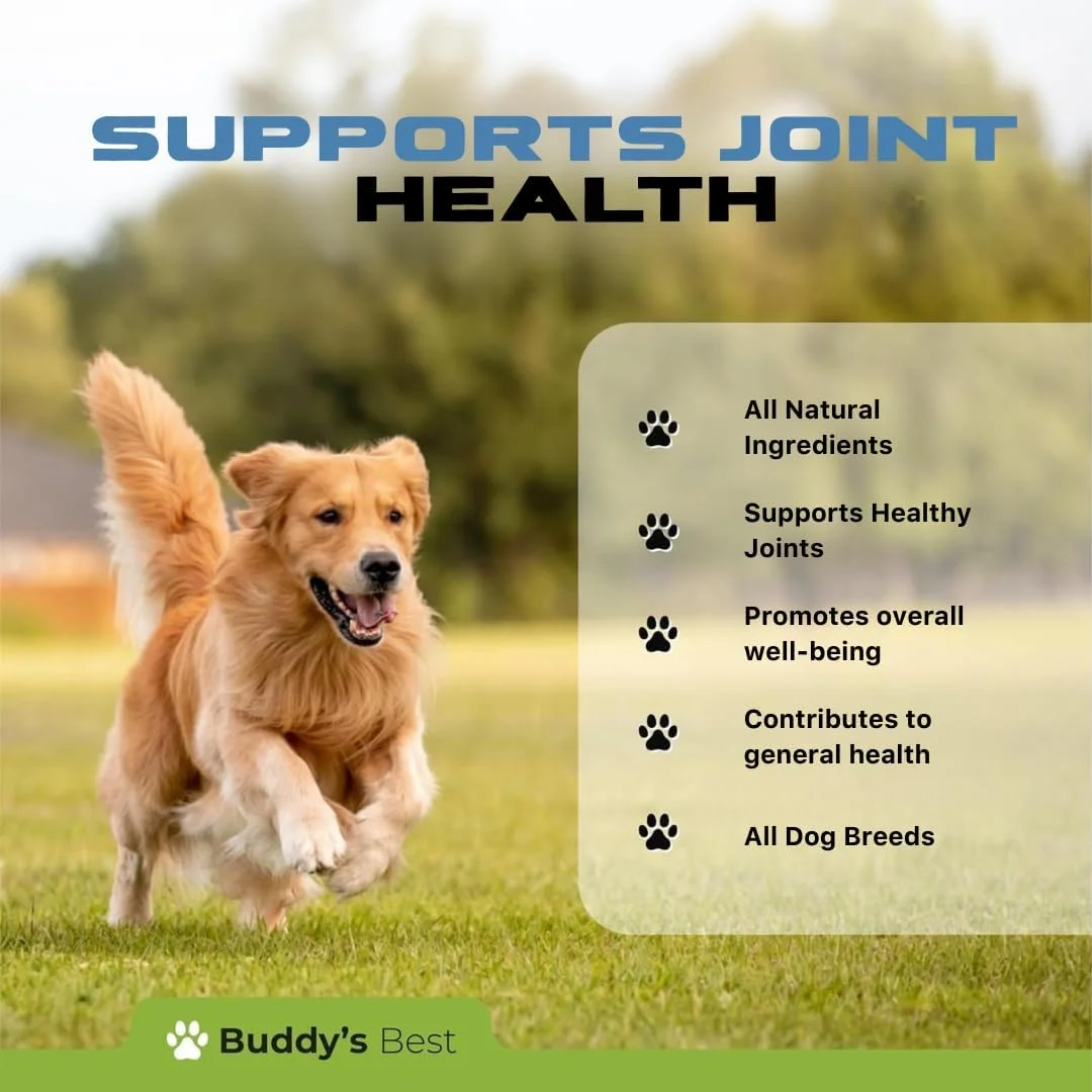 بهترین تسکین درد 50 میلی لیتری برای سگ ها - مراقبت از مفاصل سگ بهترین تسکین درد 50 میلی لیتری برای سگ ها - مراقبت از مفاصل سگ