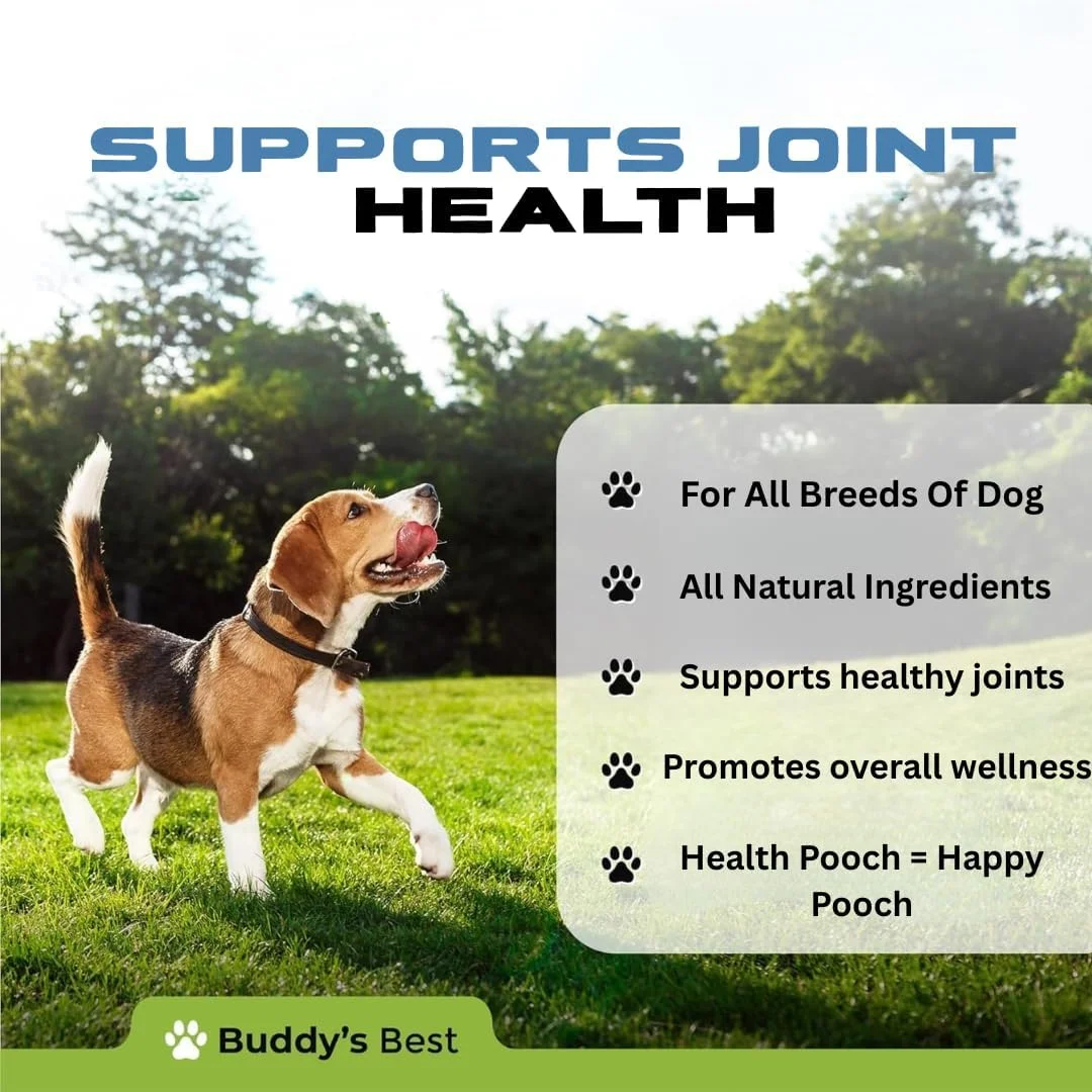 مایع پشتیبانی از تحرک سگ بادی'ز بست، بسته دوقلو - برای مراقبت روزانه از مفاصل و تحرک، با مواد طبیعی، مناسب برای همه نژادها