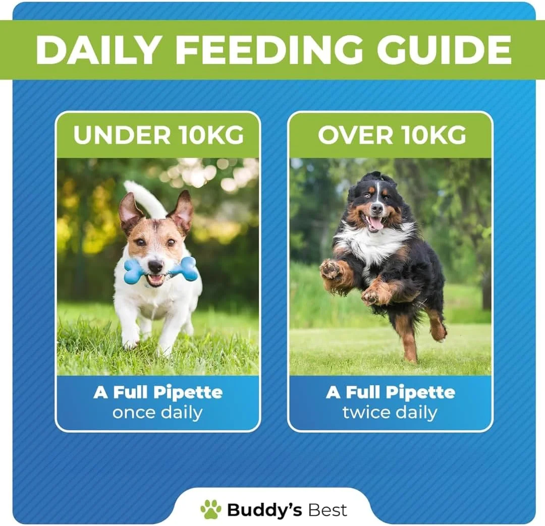 مجموعه مراقبت کامل مفاصل سگ ها از بادیز بست | کمک و تسکین مفاصل سگ به همراه ضد التهاب کاملا طبیعی | 50 میلی لیتر هر کدام | افزایش تحرک و تسکین درد | ساخت انگلستان مجموعه مراقبت کامل مفاصل سگ ها از بادیز بست | کمک و تسکین مفاصل سگ به همراه ضد التهاب کاملا طبیعی | 50 میلی لیتر هر کدام | افزایش تحرک و تسکین درد | ساخت انگلستان