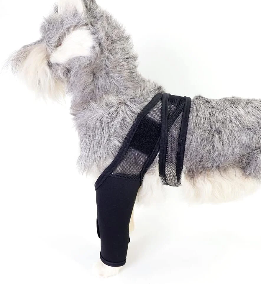 محافظ دوگانه پا برای آسیب دیدگی حیوانات خانگی، محافظ زانو، بند محافظ سگ، پوشش مفاصل پا (S)