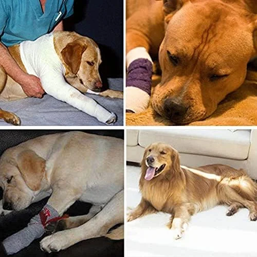 زانوبند مفصل خرگوشی سگ، محافظت از زخم پا، بانداژ فشاری، کمک به بهبود و جلوگیری از آسیب دیدگی و رگ به رگ شدن، کمک به رفع عدم ثبات ناشی از آرتروز (مشکی، سایز S) زانوبند مفصل خرگوشی سگ، محافظت از زخم پا، بانداژ فشاری، کمک به بهبود و جلوگیری از آسیب دیدگی و رگ به رگ شدن، کمک به رفع عدم ثبات ناشی از آرتروز (مشکی، سایز S)