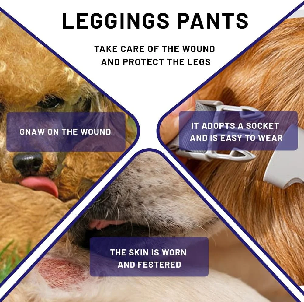 محافظ آستین بهبودی سگ CATOR برای پاهای جلویی، آستین آرنج سگ با پد نرم، محافظت از زخم پای سگ، مناسب برای سگ های متوسط و بزرگ (XL) محافظ آستین بهبودی سگ CATOR برای پاهای جلویی، آستین آرنج سگ با پد نرم، محافظت از زخم پای سگ، مناسب برای سگ های متوسط و بزرگ (XL)