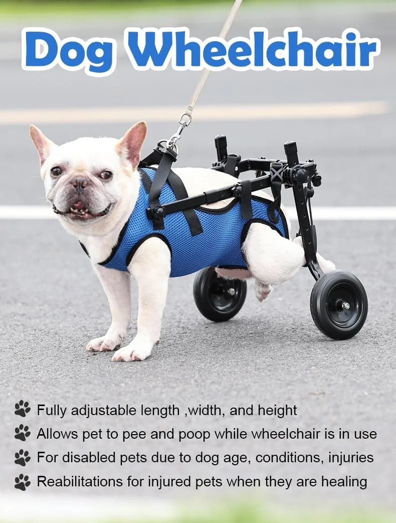 ویلچر سگ، چرخ دستی قابل تنظیم حیوانات خانگی با چرخ برای پاهای عقب، بریس پا و پشتیبانی لگن سگ، کمک به حیوانات خانگی کوچک با اندام های خلفی فلج برای بهبودی، متوسط