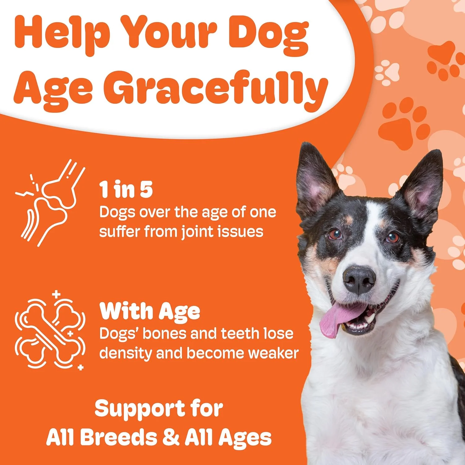 فرمول نگهدارنده استخوان بونئو برای سگ ها - مکمل استخوان و مفاصل بر پایه لاکتوفرین - 90 عدد قرص جویدنی، طعم جگر و سوسیس فرمول نگهدارنده استخوان بونئو برای سگ ها - مکمل استخوان و مفاصل بر پایه لاکتوفرین - 90 عدد قرص جویدنی، طعم جگر و سوسیس