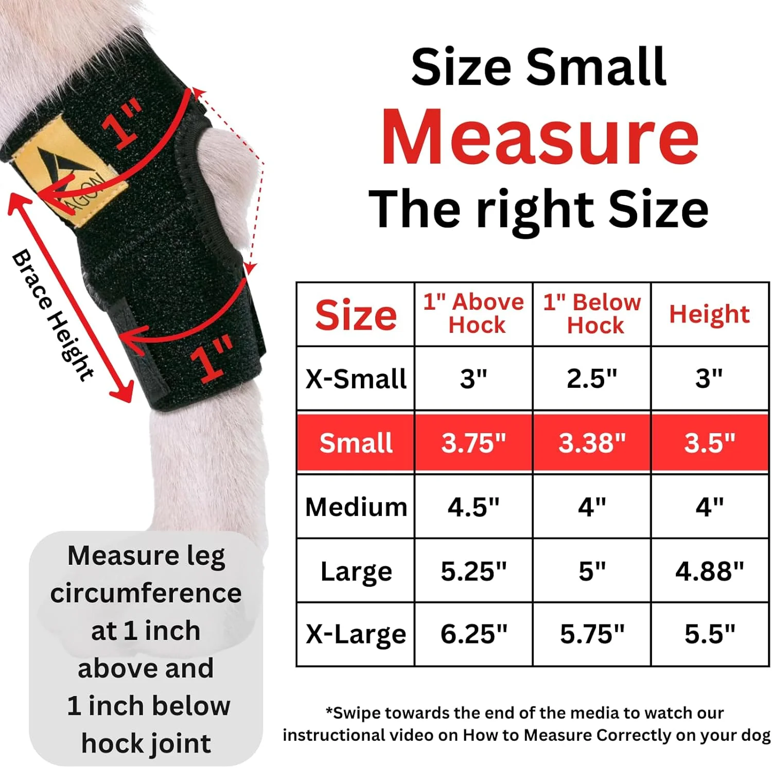 محافظ مفصل پا سگ AGON® به همراه بندهای فشاری برای محافظت از زخم های پای عقب سگ. التیام بخش، جلوگیری از آسیب و رگ به رگ شدن، کمک به رفع عدم ثبات ناشی از آرتروز (کوچک)