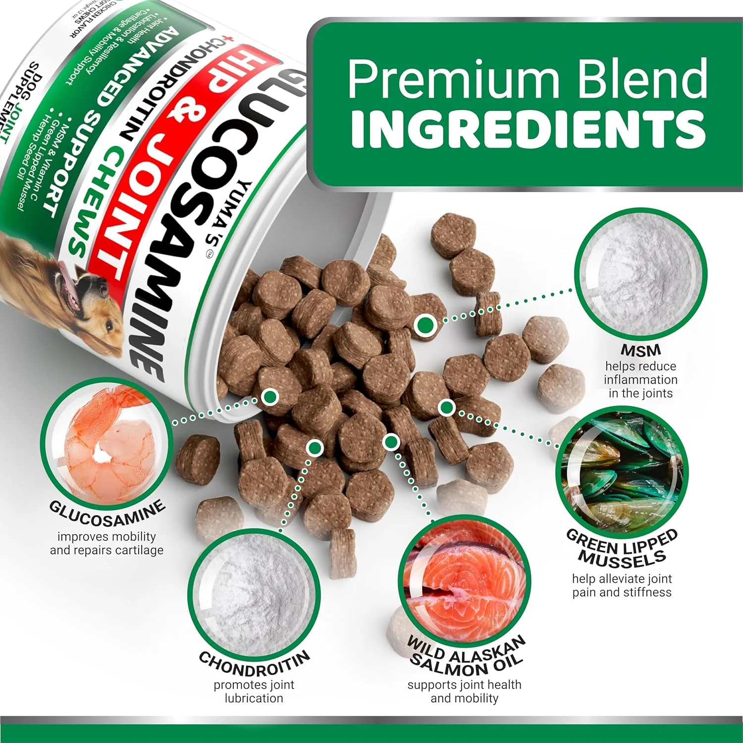 (2 بسته) گلوکزامین برای سگ ها - مکمل مفاصل و استخوان ران برای سگ ها - جویدنی های کندرویتین گلوکزامین - مکمل تسکین درد مفاصل با MSM - سلامت پیشرفته - پشتیبانی از تحرک - ساخت آمریکا