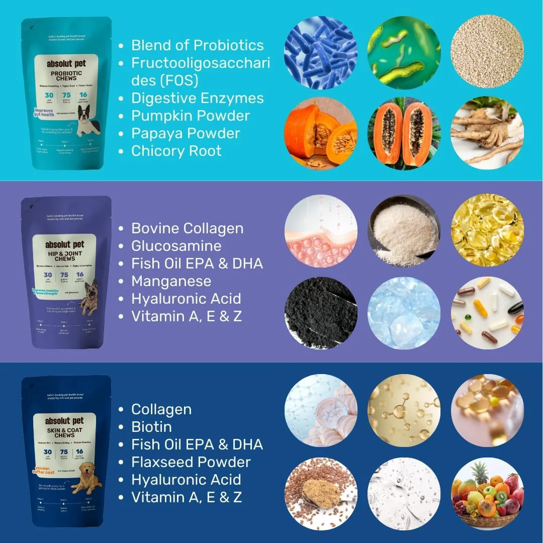 مکمل غذایی سگ Absolut Pet، پروبیوتیک، مفاصل و استخوان، پوست و مو برای سلامت روده، کاهش ریزش مو و بهبود تحرک با امگا، کلاژن و گلوکزآمین (3 بسته 30 عددی) مکمل غذایی سگ Absolut Pet، پروبیوتیک، مفاصل و استخوان، پوست و مو برای سلامت روده، کاهش ریزش مو و بهبود تحرک با امگا، کلاژن و گلوکزآمین (3 بسته 30 عددی)