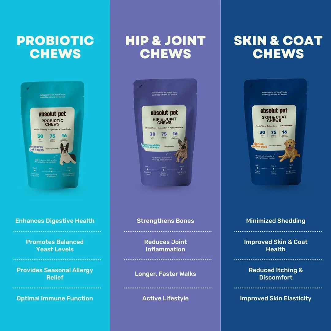 مکمل غذایی سگ Absolut Pet، پروبیوتیک، مفاصل و استخوان، پوست و مو برای سلامت روده، کاهش ریزش مو و بهبود تحرک با امگا، کلاژن و گلوکزآمین (3 بسته 30 عددی) مکمل غذایی سگ Absolut Pet، پروبیوتیک، مفاصل و استخوان، پوست و مو برای سلامت روده، کاهش ریزش مو و بهبود تحرک با امگا، کلاژن و گلوکزآمین (3 بسته 30 عددی)