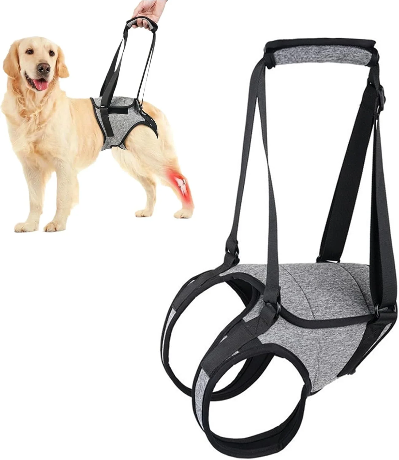 هارنس بالابر سگ برای پاهای عقب، هارنس پشتیبانی قابل تنظیم برای سگ های بزرگ، متوسط و کوچک معلول، سگ های مسن و آسیب دیده، بریس پای عقب، کمک پیاده روی و توانبخشی بعد از جراحی ACL (کوچک)