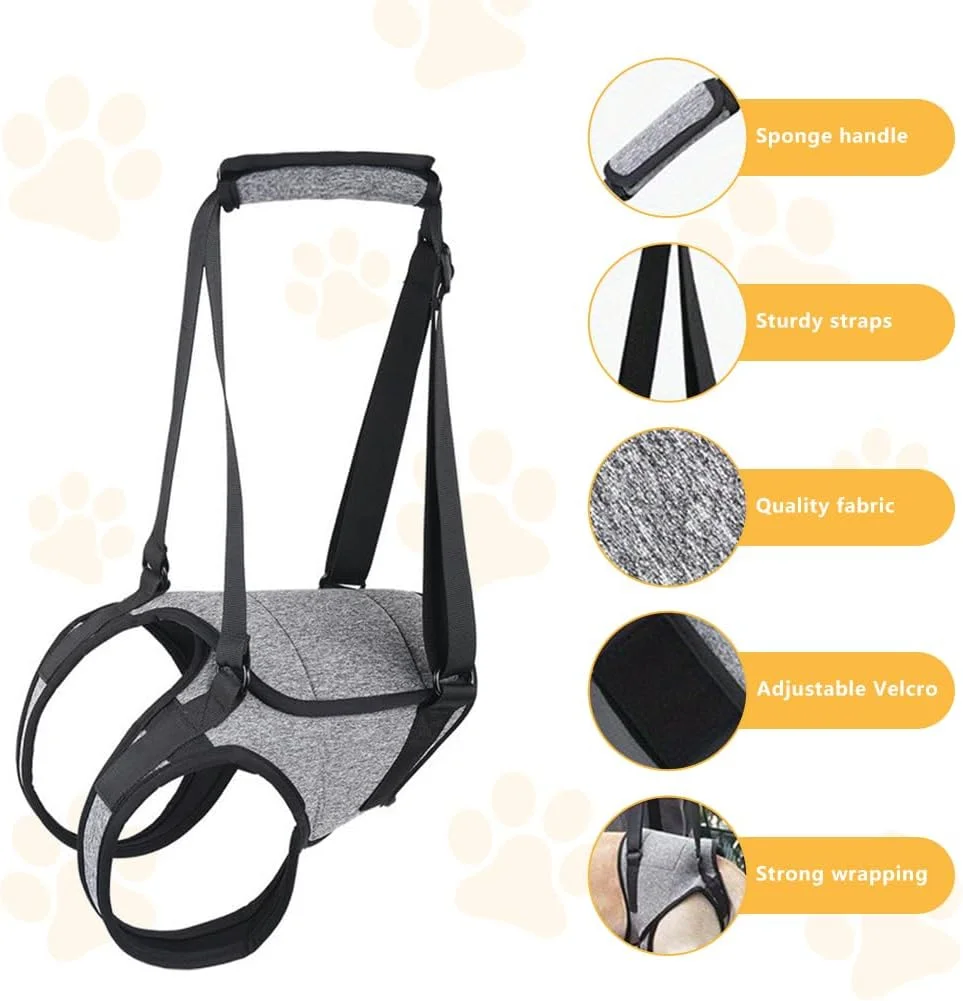 هارنس بالابر سگ برای پاهای عقب، هارنس پشتیبانی قابل تنظیم برای سگ های بزرگ، متوسط و کوچک معلول، سگ های مسن و آسیب دیده، بریس پای عقب، کمک پیاده روی و توانبخشی بعد از جراحی ACL (کوچک)