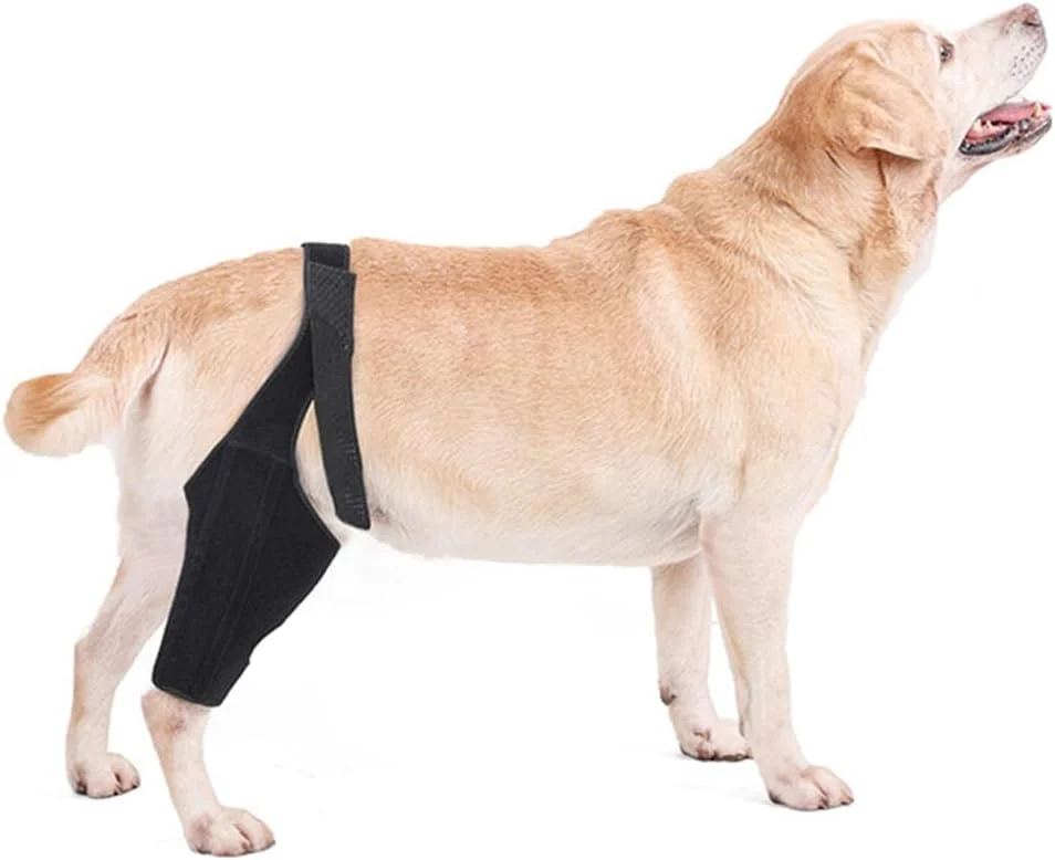 زانوبند سگ با تثبیت کننده های جانبی، آستین لیسیدن برای بهبودی پس از جراحی سگ، ساپورت مفصل، محافظ مچ پا سگ، محافظت از زخم ها، جلوگیری از آسیب (مشکی، S) زانوبند سگ با تثبیت کننده های جانبی، آستین لیسیدن برای بهبودی پس از جراحی سگ، ساپورت مفصل، محافظ مچ پا سگ، محافظت از زخم ها، جلوگیری از آسیب (مشکی، S)