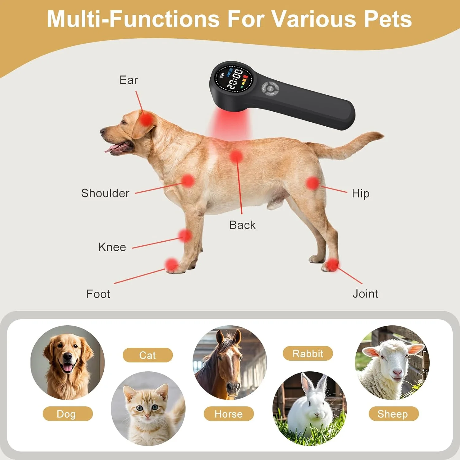 دستگاه نور قرمز برای سگ ها، 16x660nm+4x810nm+4x980nm، دستگاه نور مادون قرمز نزدیک برای حیوانات خانگی، دستگاه نور سرد قابل حمل برای تسکین درد، دستگاه نور قرمز دستی خانگی برای سگ ها، گربه ها، اسب ها دستگاه نور قرمز برای سگ ها، 16x660nm+4x810nm+4x980nm، دستگاه نور مادون قرمز نزدیک برای حیوانات خانگی، دستگاه نور سرد قابل حمل برای تسکین درد، دستگاه نور قرمز دستی خانگی برای سگ ها، گربه ها، اسب ها