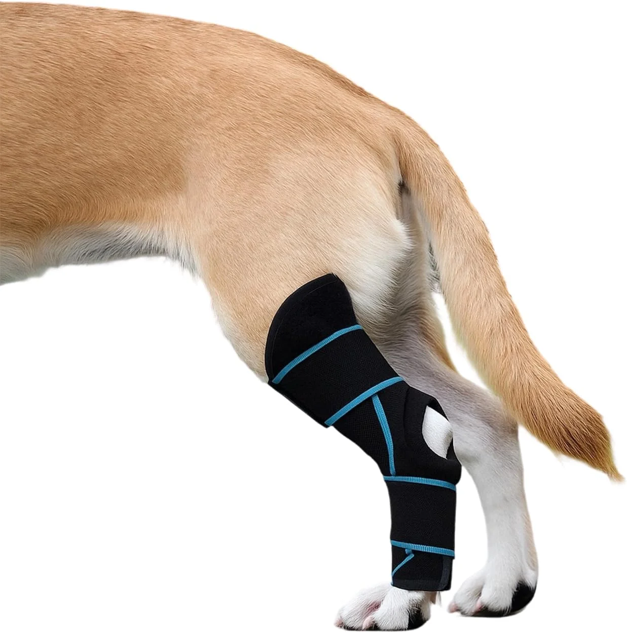زانوبند سگ برای پای عقب، پشتیبانی از رباط صلیبی برای سگ های بزرگ، زانوبند قابل تنظیم برای آسیب های پای عقبی سگ، محافظ مفصل سگ برای بهبود آرتروز (L)