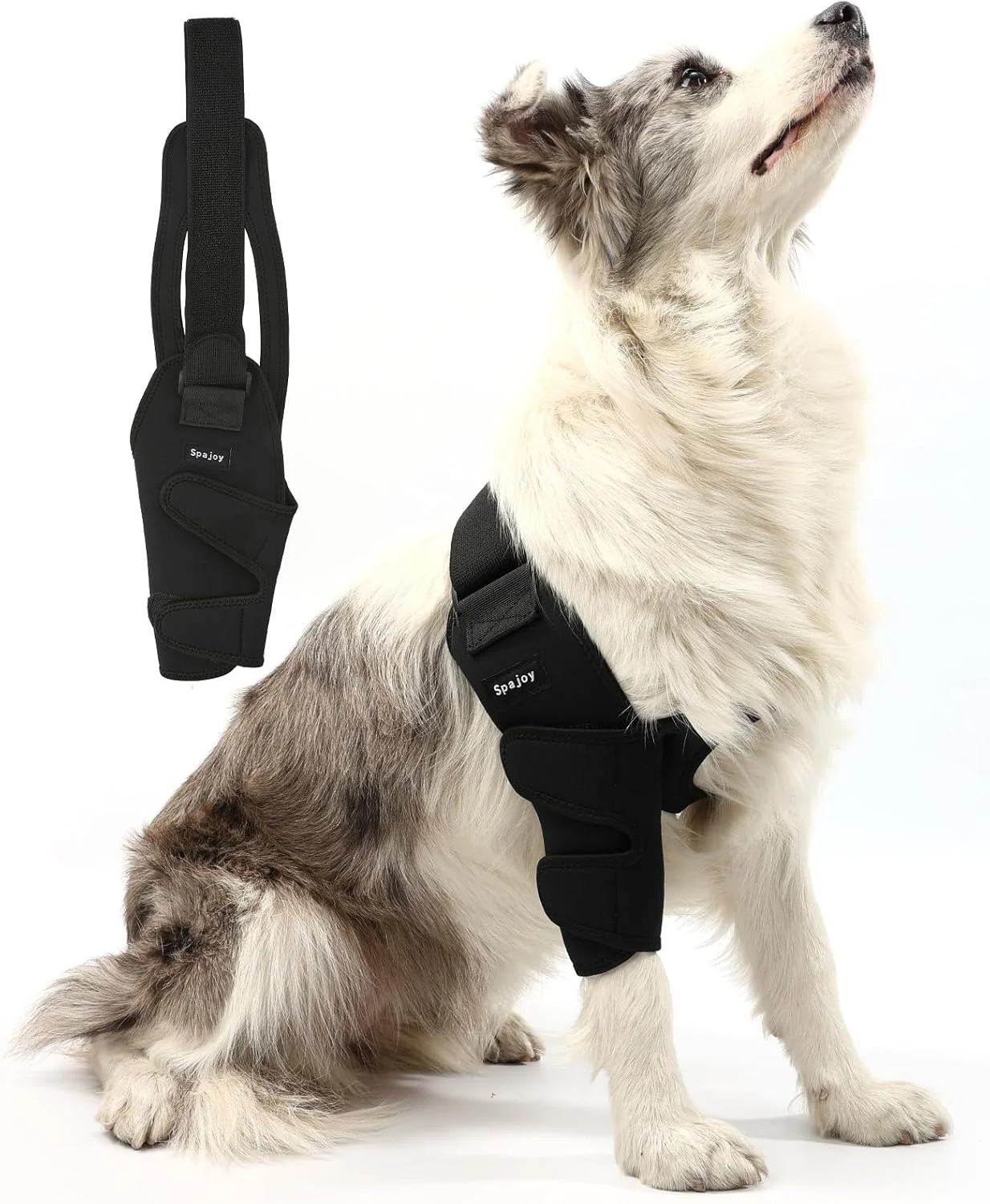 زانوبند آرنج سگ Spajoy برای پشتیبانی از آرنج و شانه حیوان خانگی برای آرتروز آرنج، دیسپلازی، پینه آرنج، محافظ آرنج سگ برای پای جلویی سگ