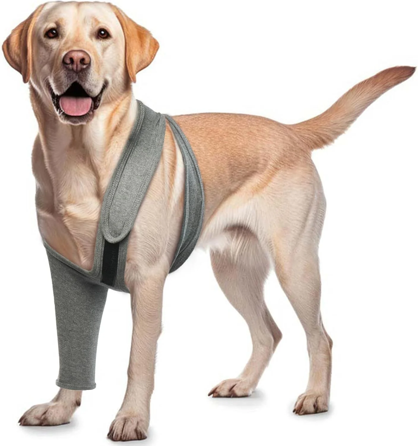 محافظ زخم پای سگ ROZKITCH برای پای راست و چپ جلو، جلوگیری از لیسیدن زخم توسط حیوان خانگی، محافظ آرنج و زانو، جایگزین لباس ریکاوری سگ و طوق برای رگ به رگ شدن، ACL، CCL، آرتروز، مراقبت از مفاصل خاکستری سایز M