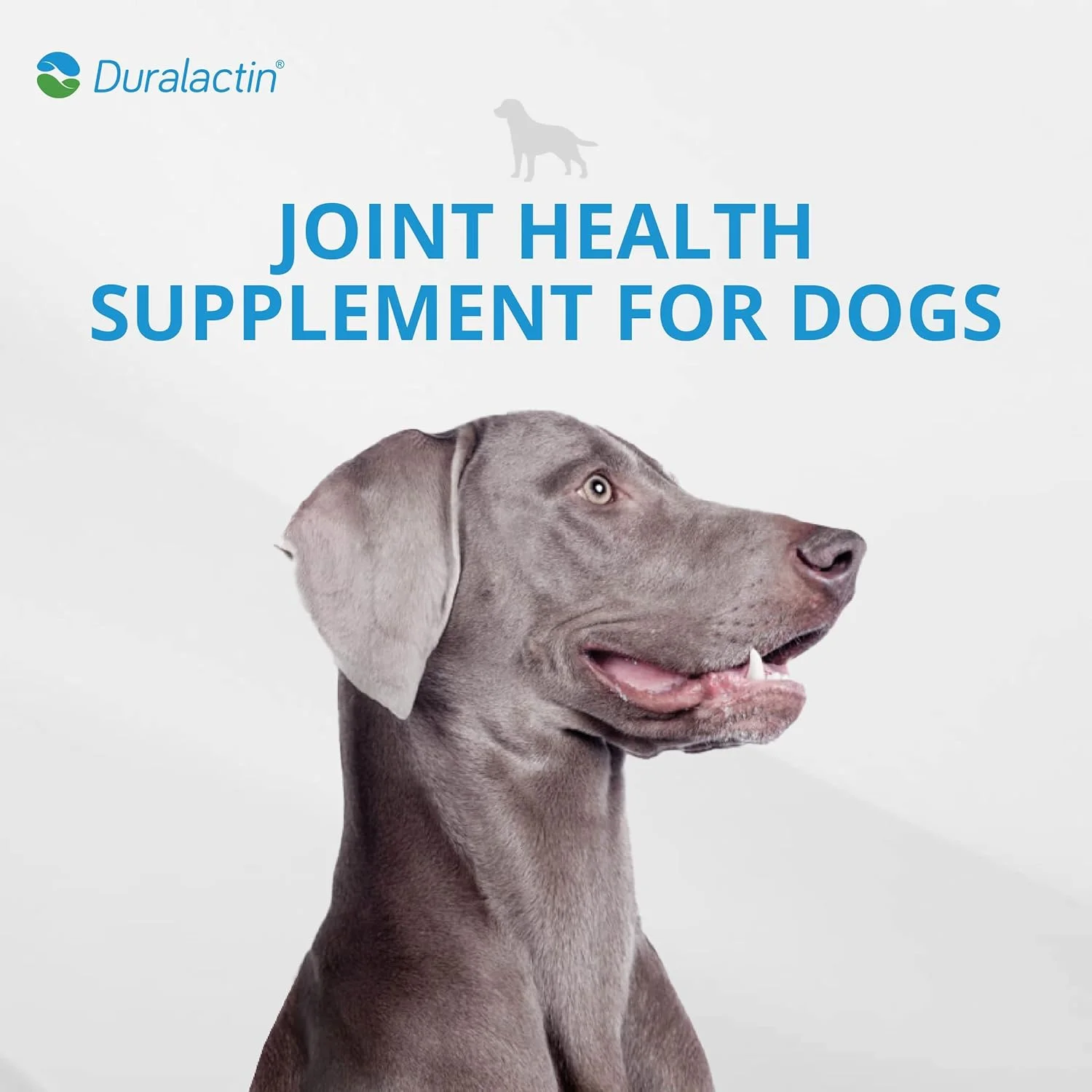 مکمل سلامت مفاصل PRN Pharmacal Duralactin Canine Joint Plus برای سگ ها و توله سگ ها برای حمایت از سلامت مفاصل مکمل سلامت مفاصل PRN Pharmacal Duralactin Canine Joint Plus برای سگ ها و توله سگ ها برای حمایت از سلامت مفاصل
