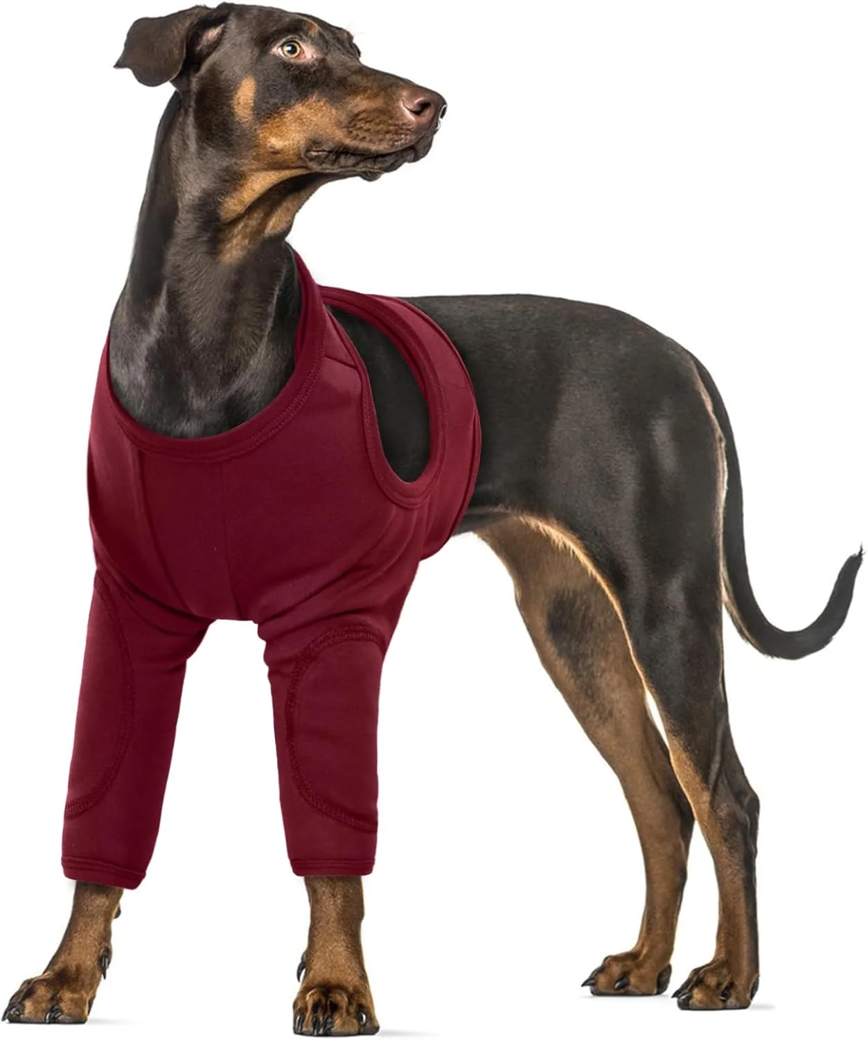 محافظ پنجه سگ PUMYPOREITY، لباس جراحی بدن سگ با پاها، محافظت از لیسیدن برای سگ ها، پاهای جلویی، سگ ها، زانوبند، بانداژ، محافظ پای سگ (قرمز، 2XL)