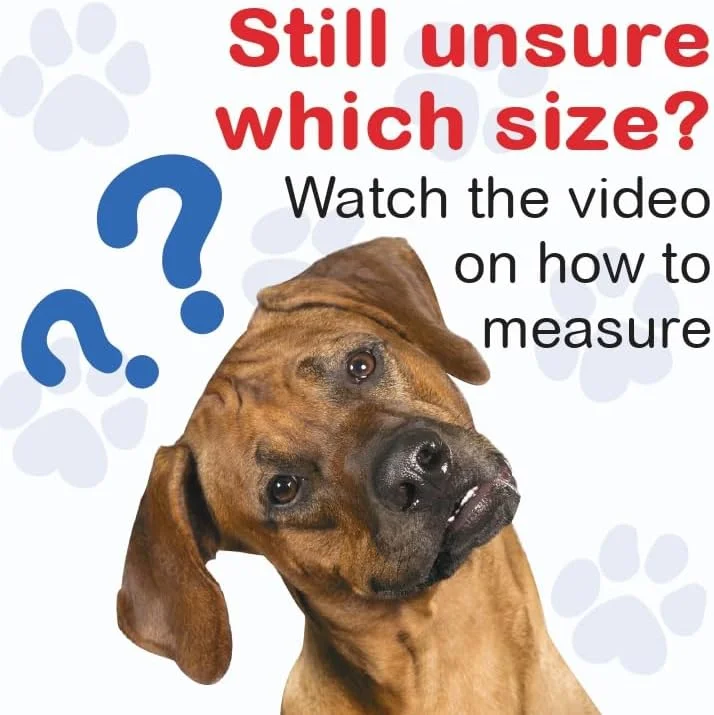 اسپلینت جلویی فلکسی برای سگ های مبتلا به آرتروز یا آسیب دیدگی (متوسط) اسپلینت جلویی فلکسی برای سگ های مبتلا به آرتروز یا آسیب دیدگی (متوسط)