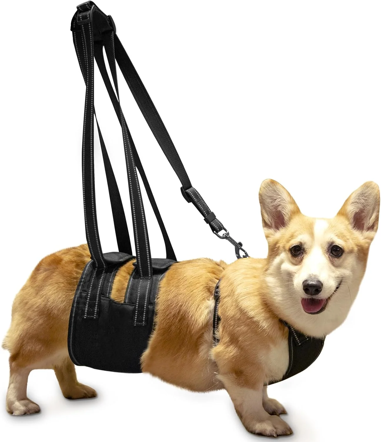 ست هارنس حمایتی سگ Ownpets - اسلینگ توانبخشی با بند سینه قابل تنظیم، بند کمکی و کابل کششی برای سگ های مسن، معلول و دارای اختلال حرکتی (M)