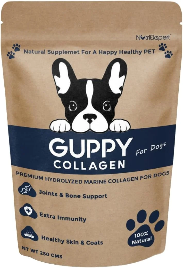 پودر کلاژن دریایی هیدرولیز شده برای سگ ها، برای سلامت استخوان و مفاصل، سلامت پوست و پوشش، سیستم گوارشی، غیر GMO، بدون گلوتن، بدون سویا - 250 گرم پودر کلاژن دریایی هیدرولیز شده برای سگ ها، برای سلامت استخوان و مفاصل، سلامت پوست و پوشش، سیستم گوارشی، غیر GMO، بدون گلوتن، بدون سویا - 250 گرم