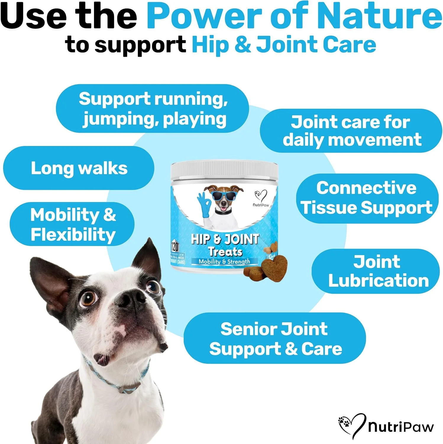 تشویقی های مفصلی و لگنی NutriPaw برای سگ ها - سفتی، قدرت، چابکی و انعطاف پذیری - مکمل مفاصل با گلوکزامین، MSM، کندرویتین و صدف لب سبز - ایده آل برای همه سگ ها